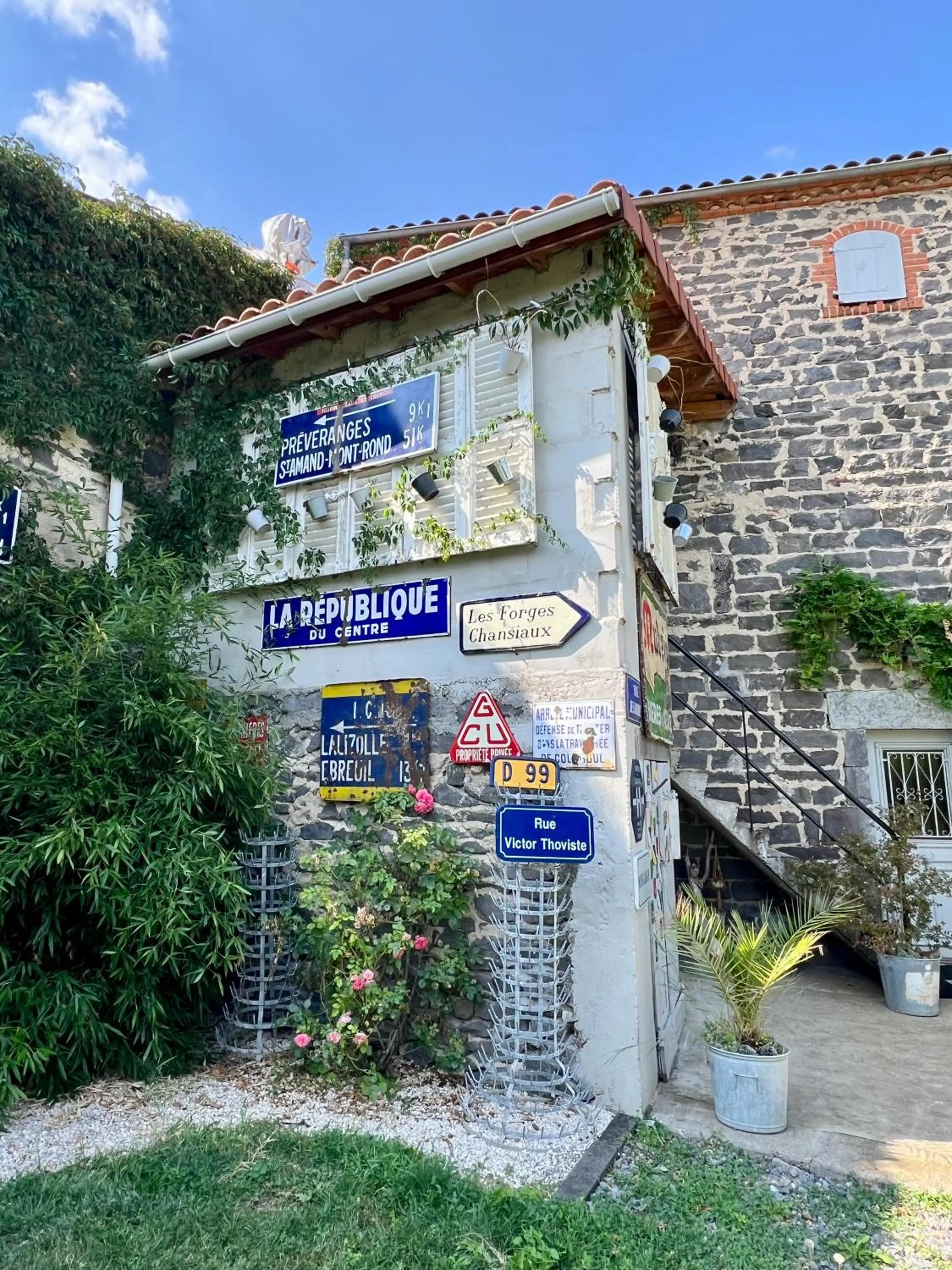 Les hirondelles du marais