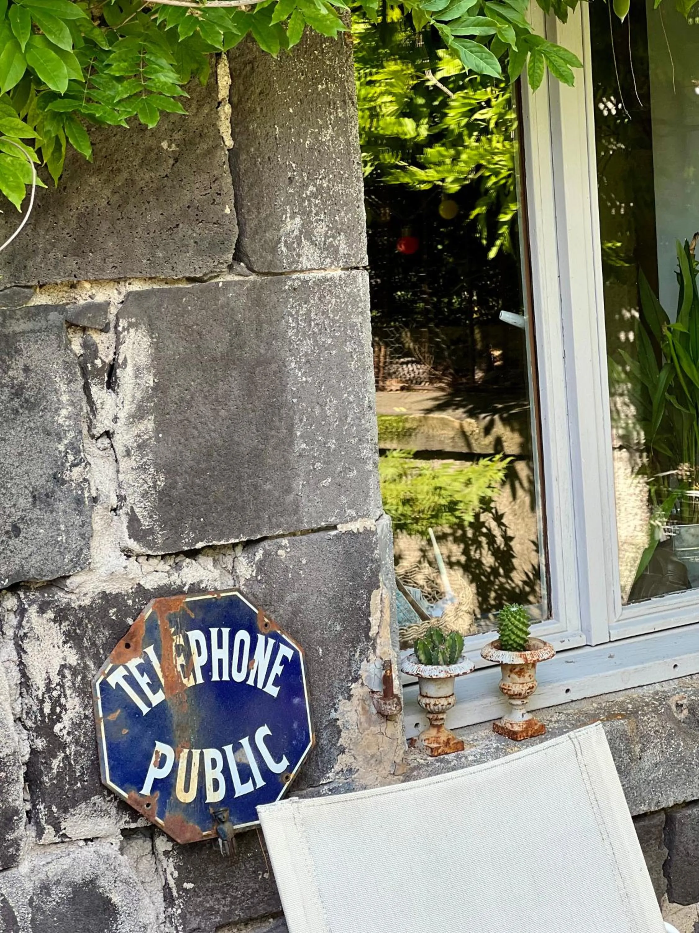 Les hirondelles du marais