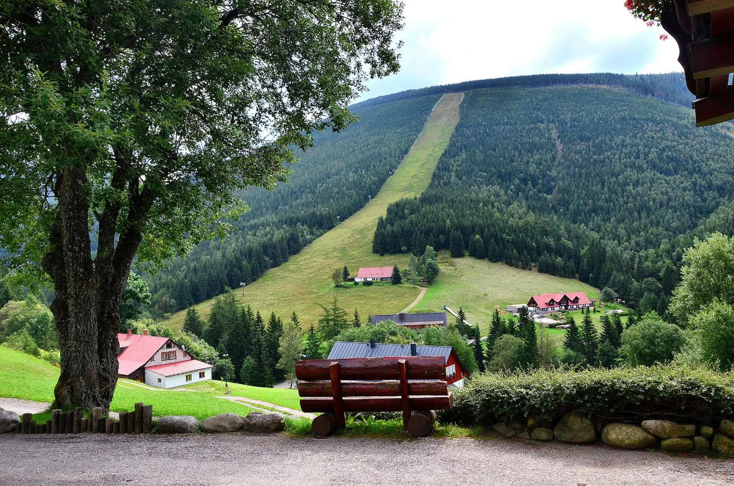 Natural landscape in Hotel Olympie