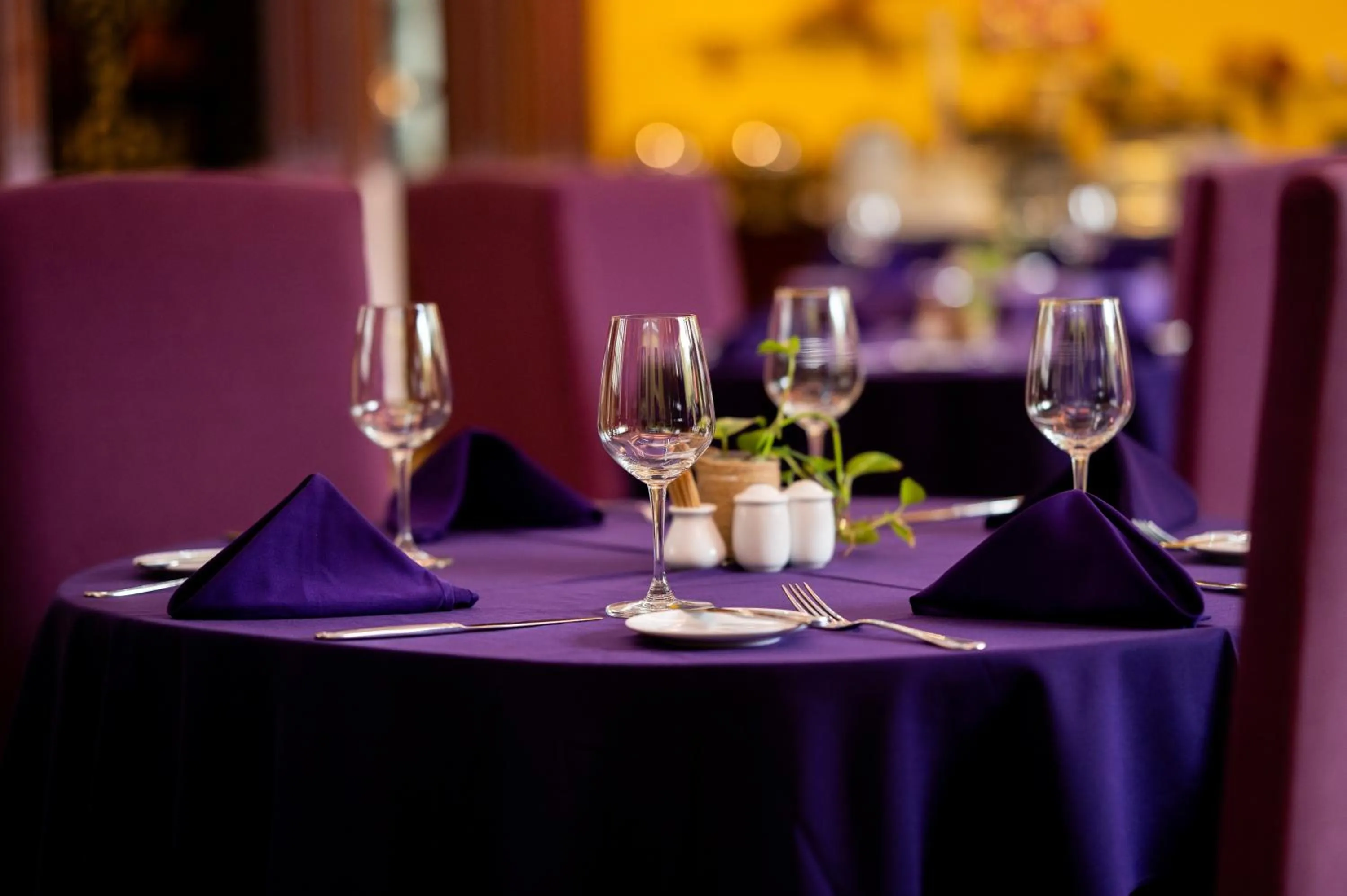 Restaurant/places to eat in Villa Hue Hotel