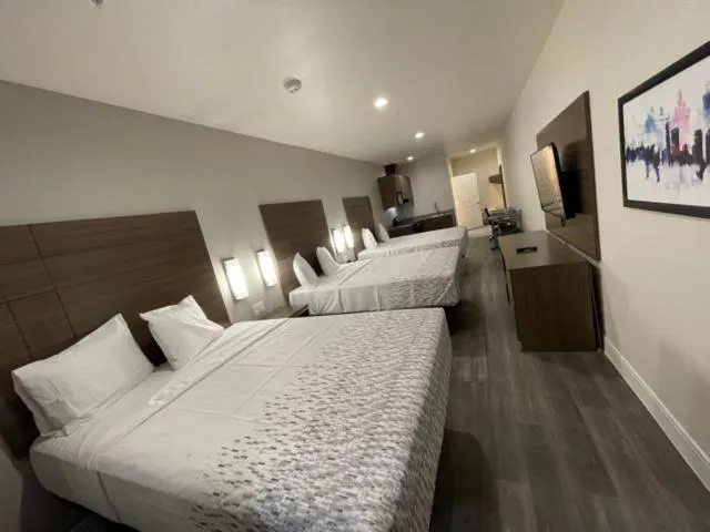 Bed in Palace Inn Blue - Garth Rd