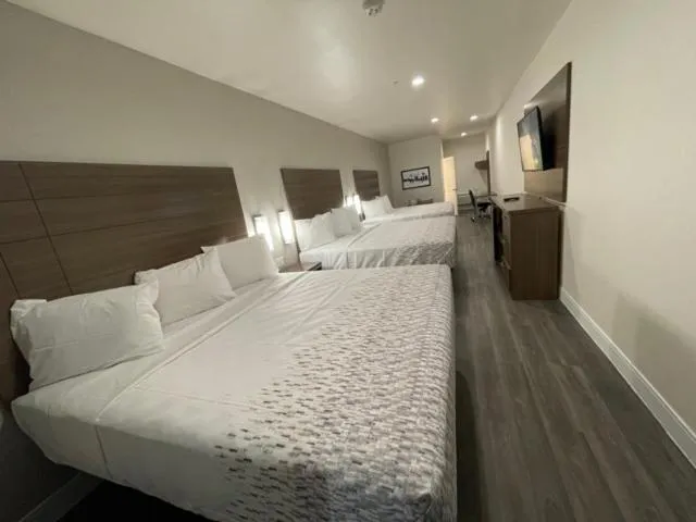 Bed in Palace Inn Blue - Garth Rd