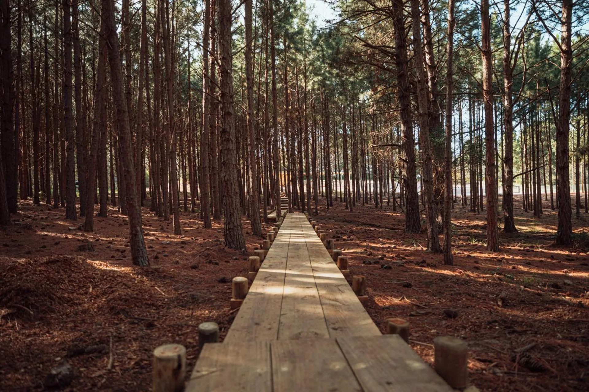Natural landscape in LUZ Culinary Wine Lodge