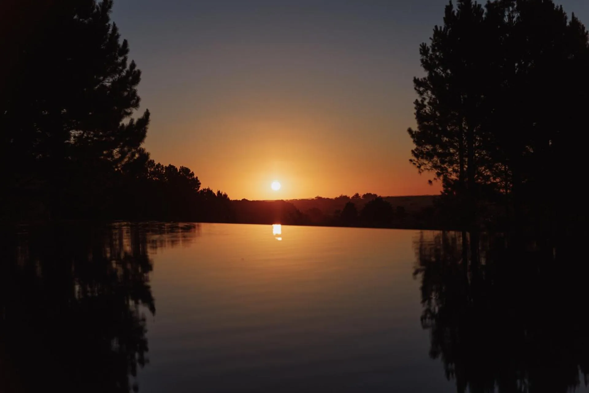 Garden view in LUZ Culinary Wine Lodge