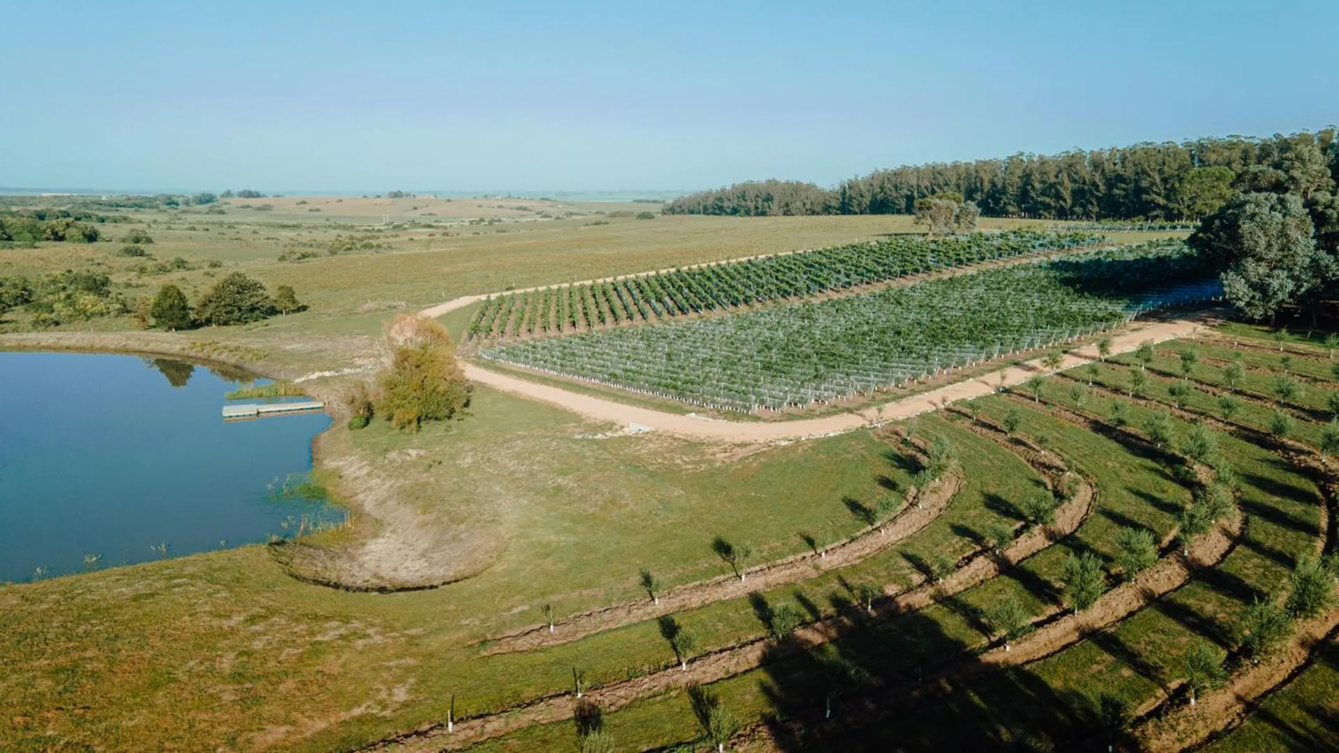 Lake view in LUZ Culinary Wine Lodge