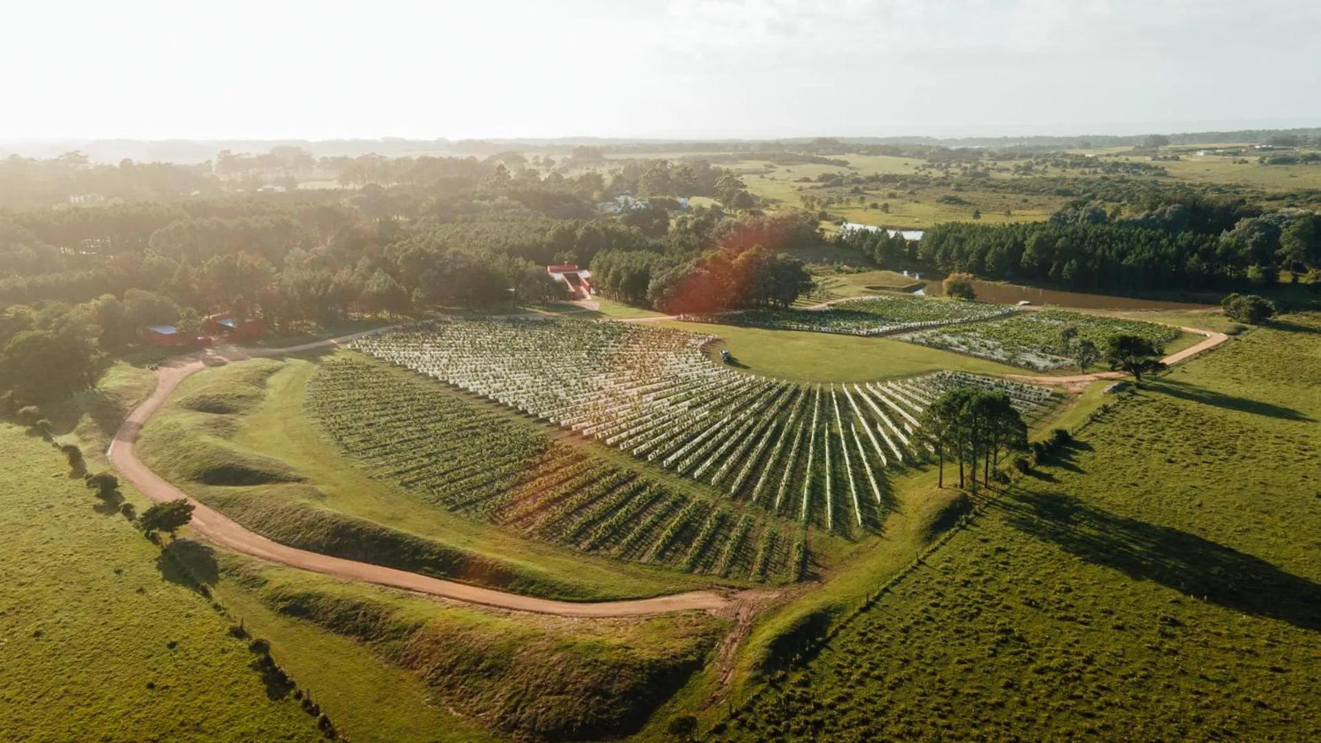 Bird's eye view in LUZ Culinary Wine Lodge