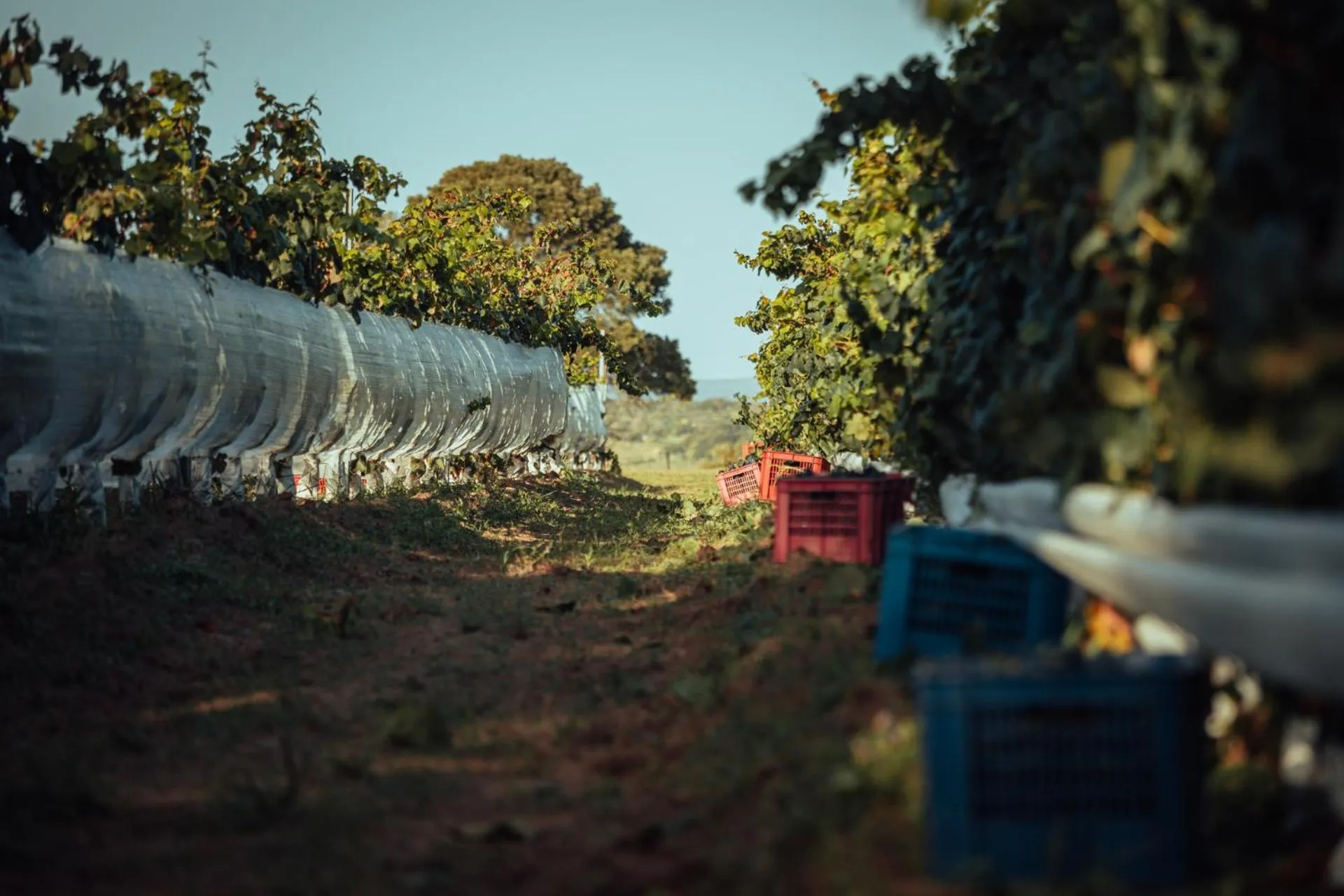 Off site in LUZ Culinary Wine Lodge