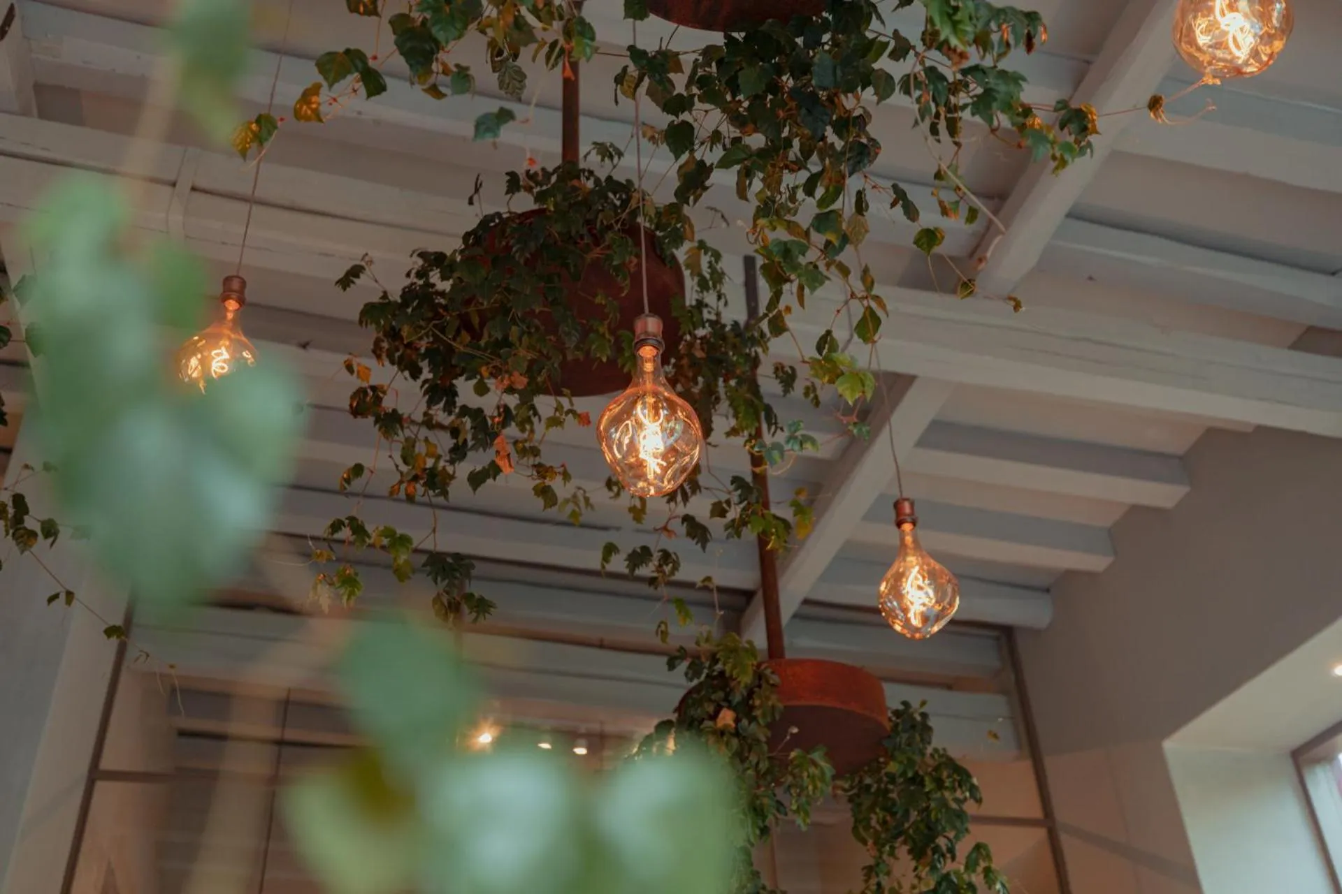 Living room in LUZ Culinary Wine Lodge