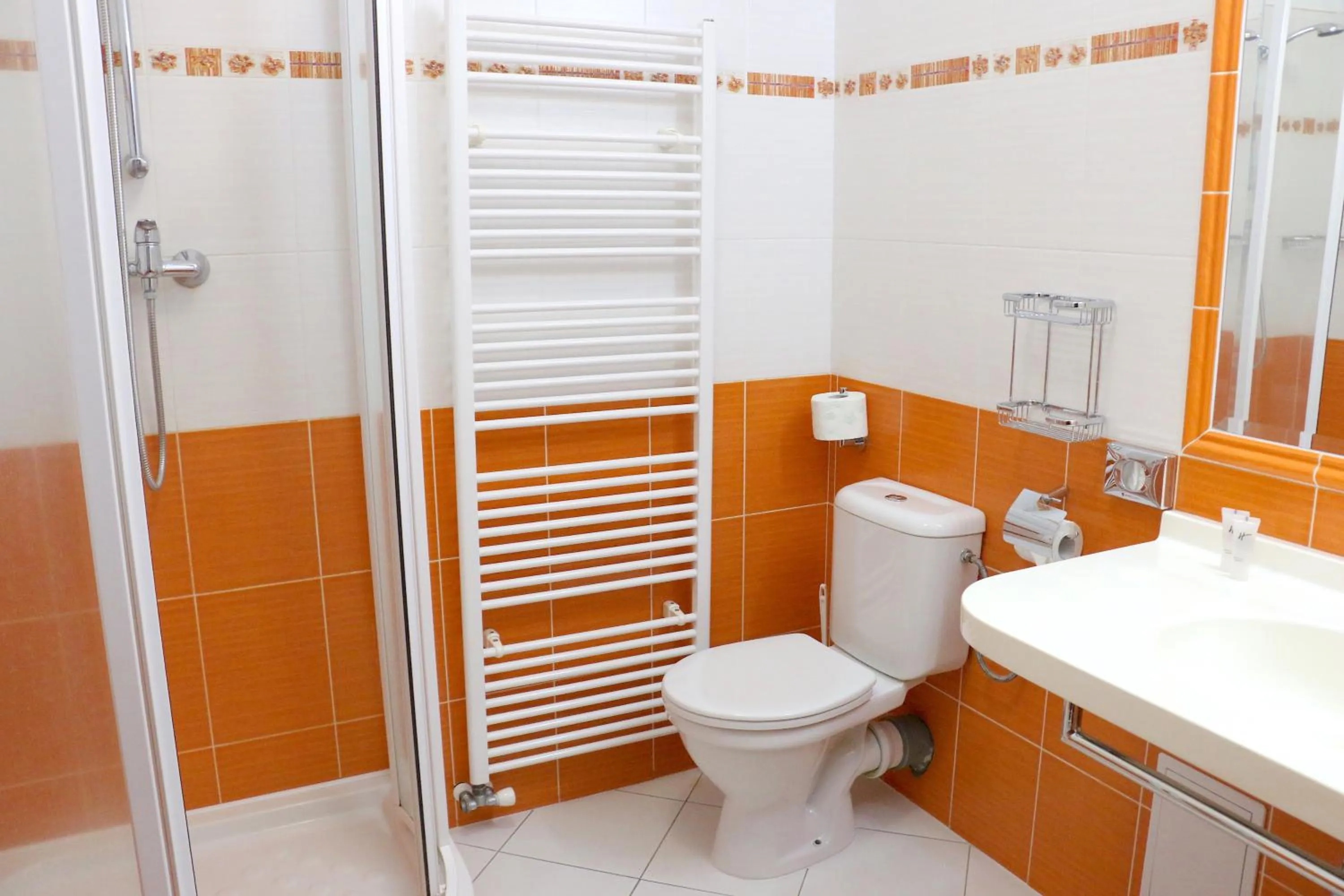 Bathroom in Komorni Hurka