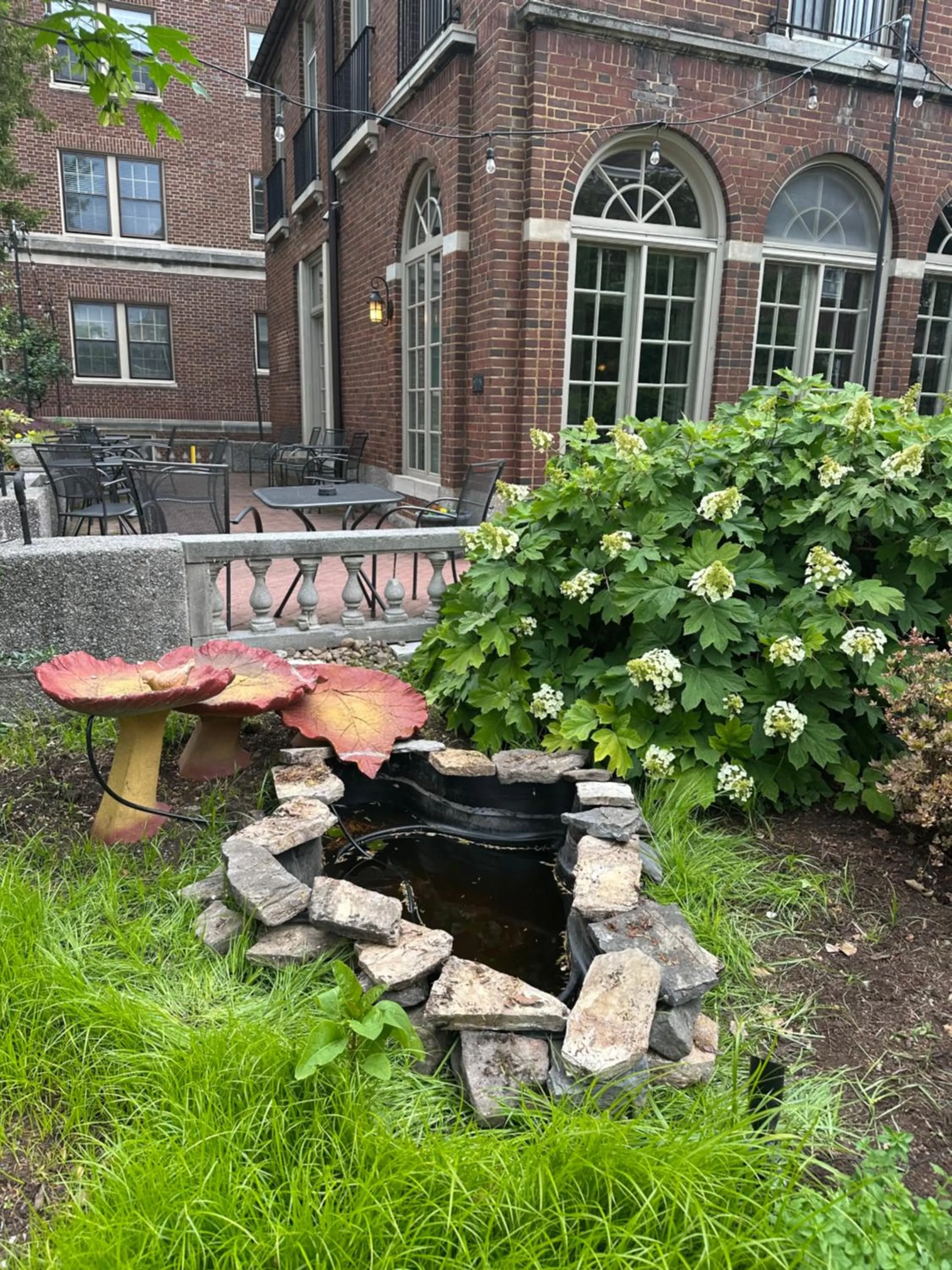 Garden in City House Bed and Breakfast