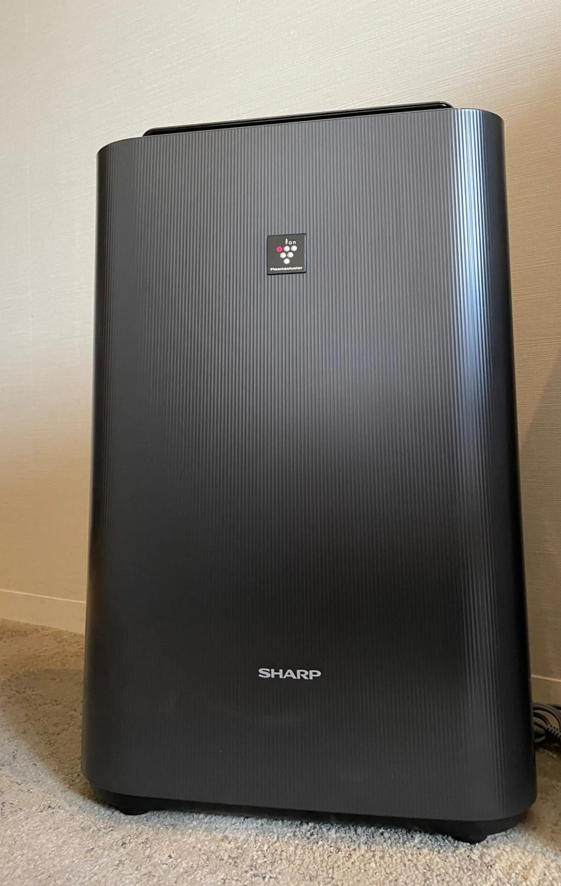 Photo of the whole room in Hotel Tenjin Place