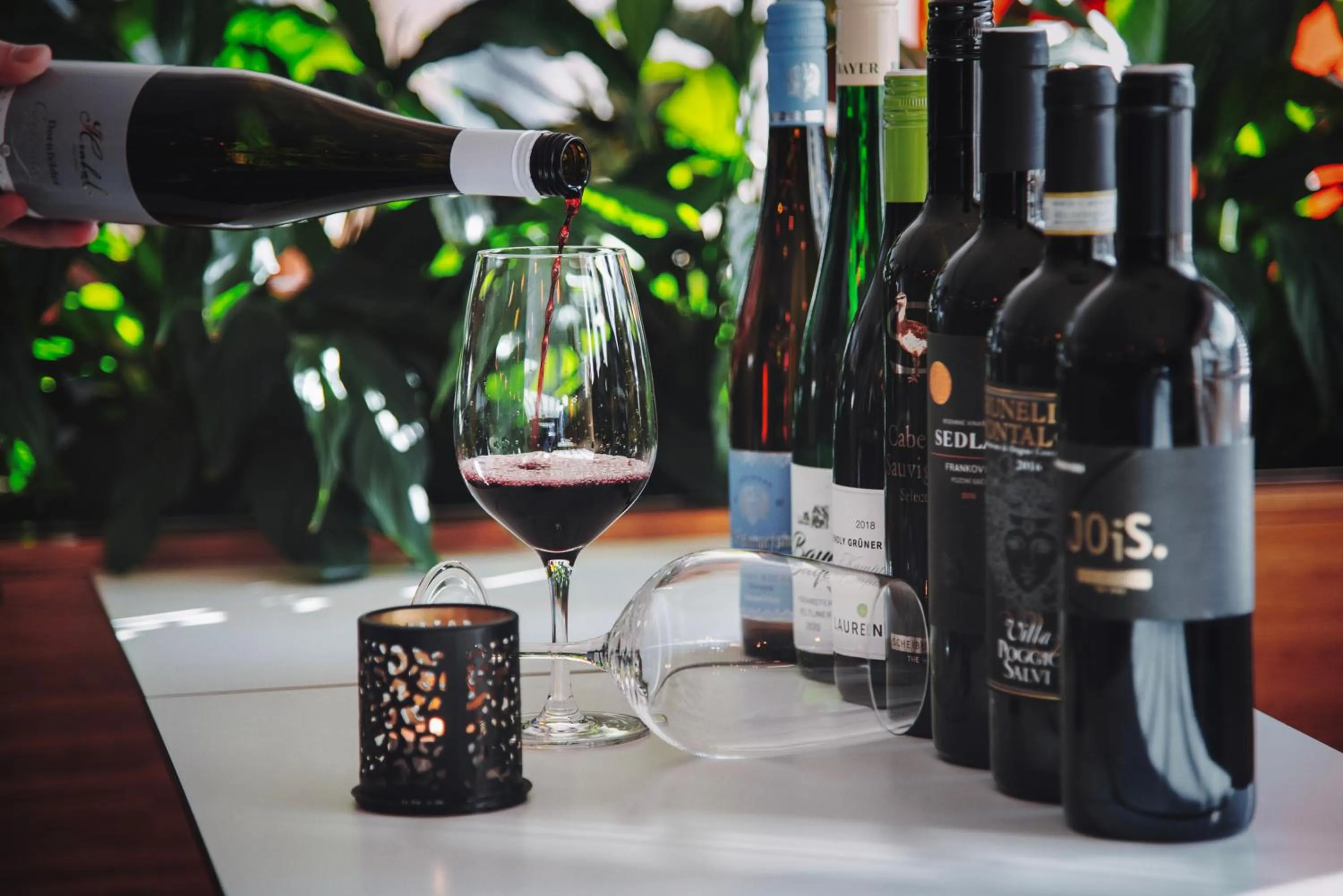 Restaurant/places to eat in Omnia Hotel Relax & Wellness