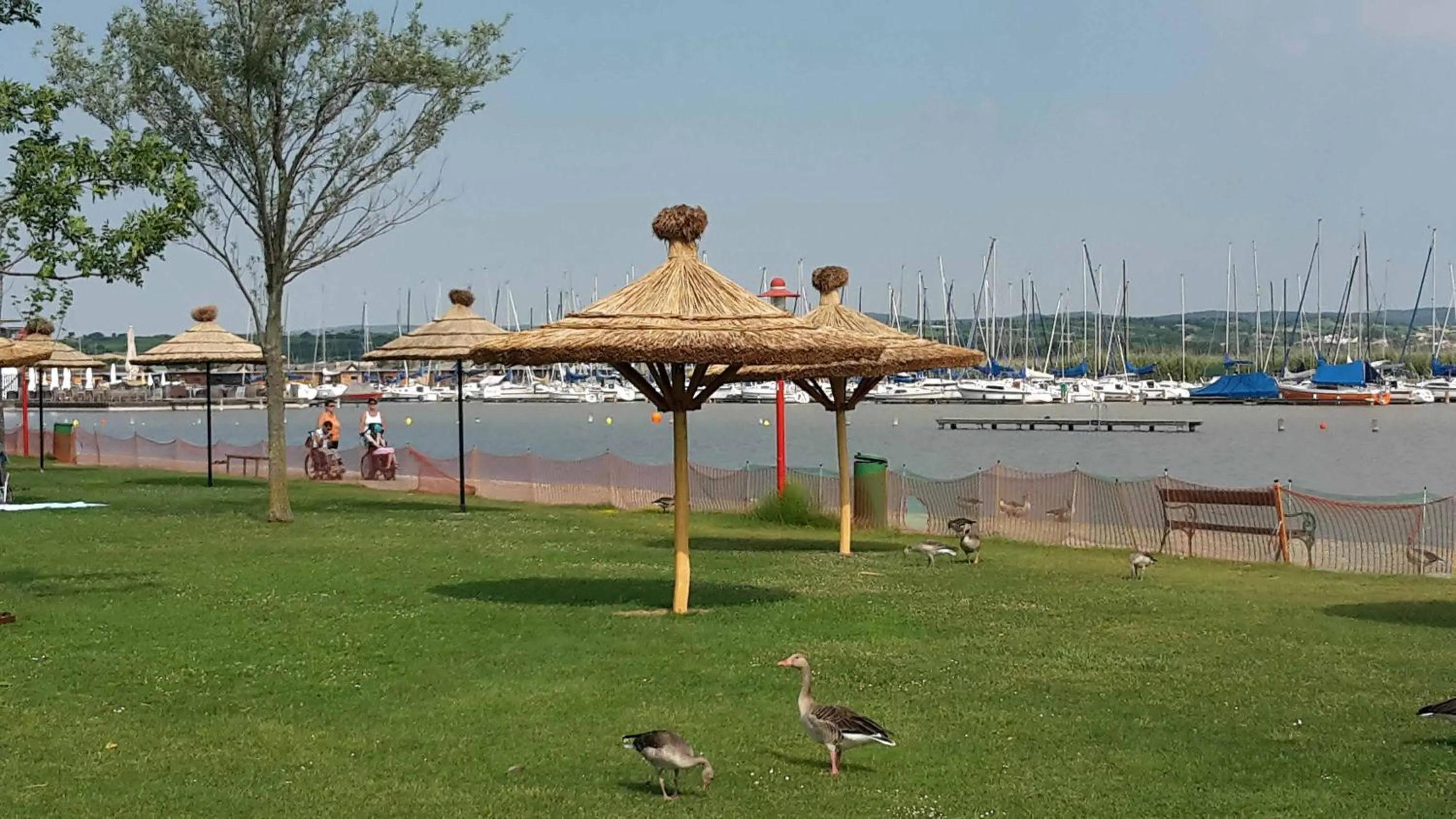 Beach in Hotel am See Rust