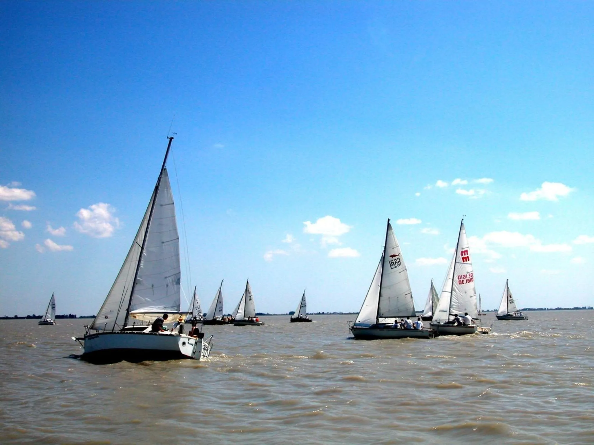 Area and facilities in Hotel am See Rust