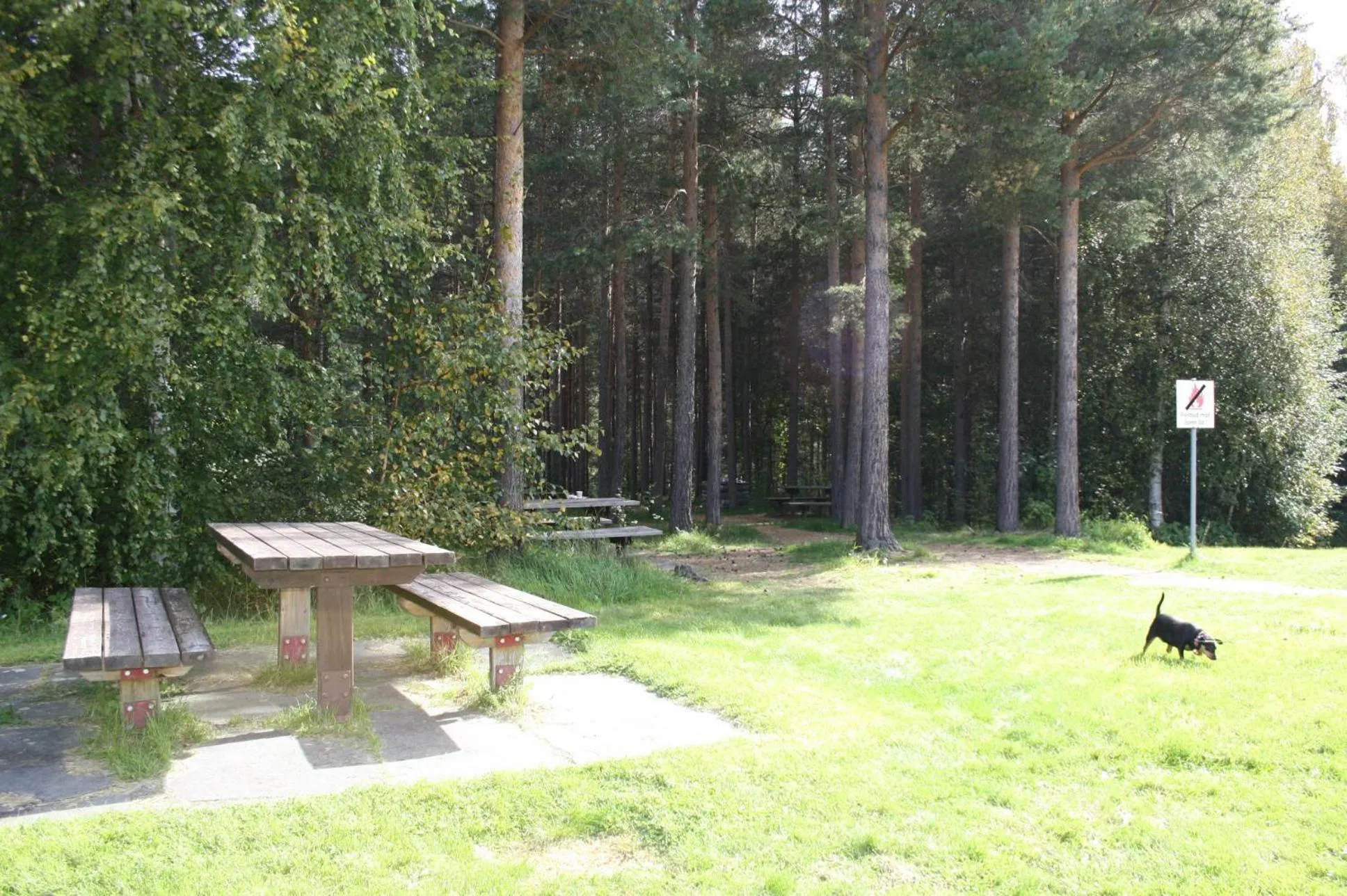 Dovreskogen Gjestegård AS