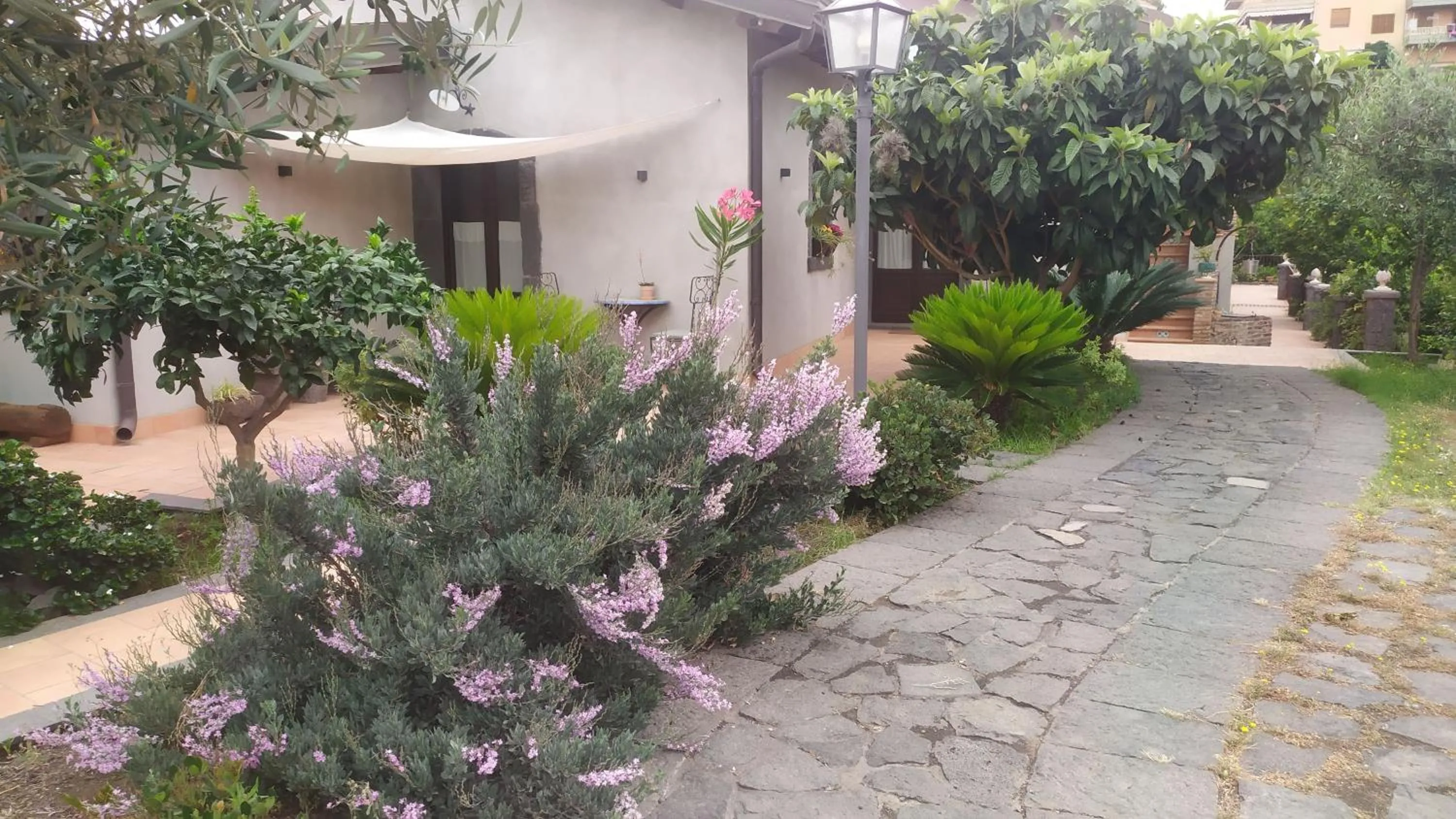 Garden in Il Giardino di Galatea