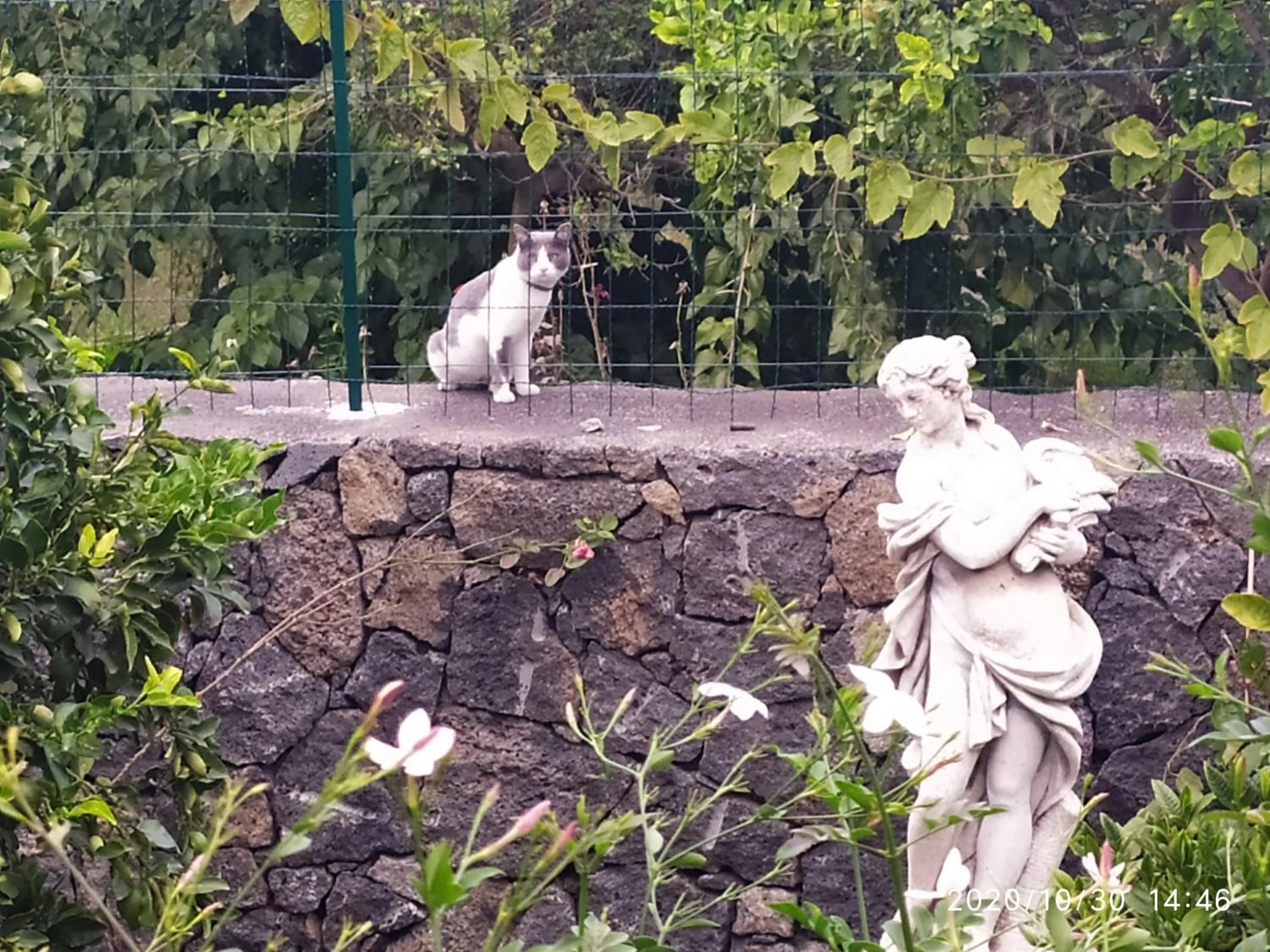 Natural landscape in Il Giardino di Galatea