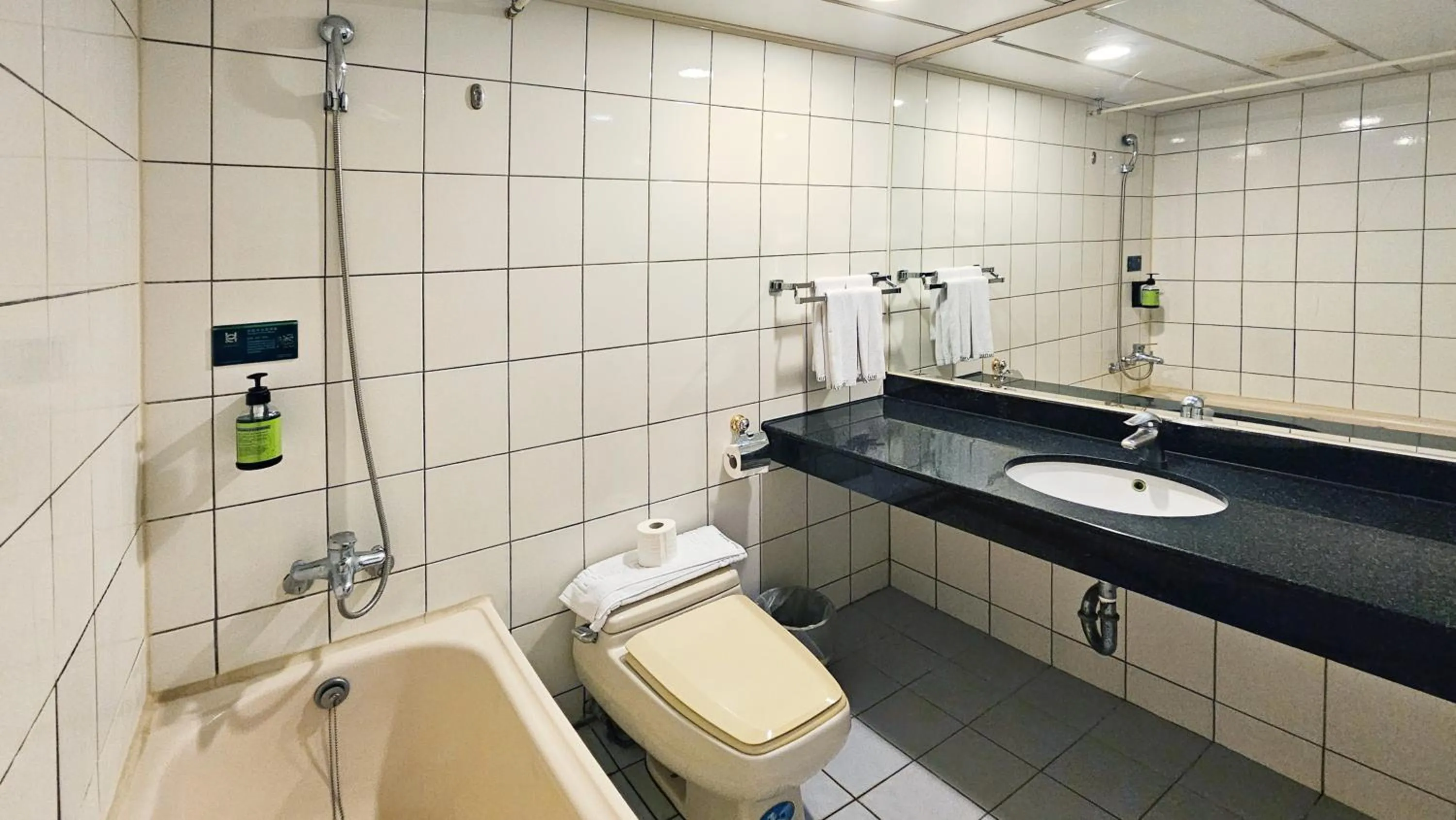 Bathroom in Hotel Avenue