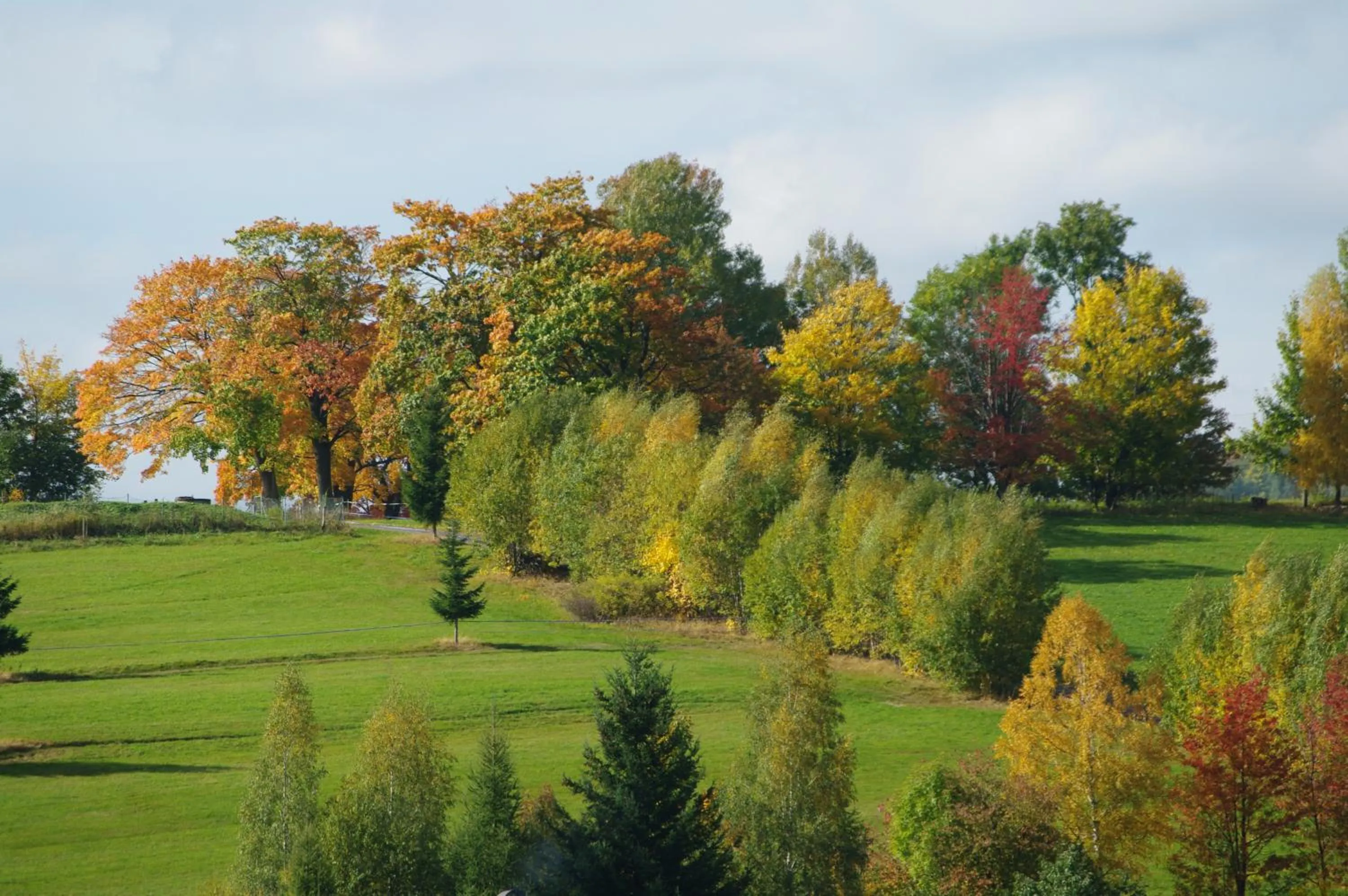 Nearby landmark in Hotel Helena