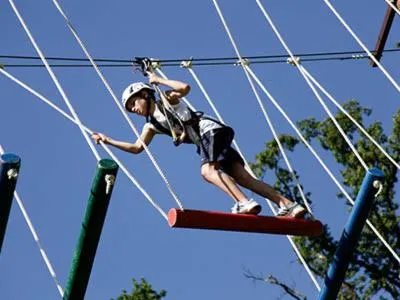 Entertainment in Záviš z Falkenštejna