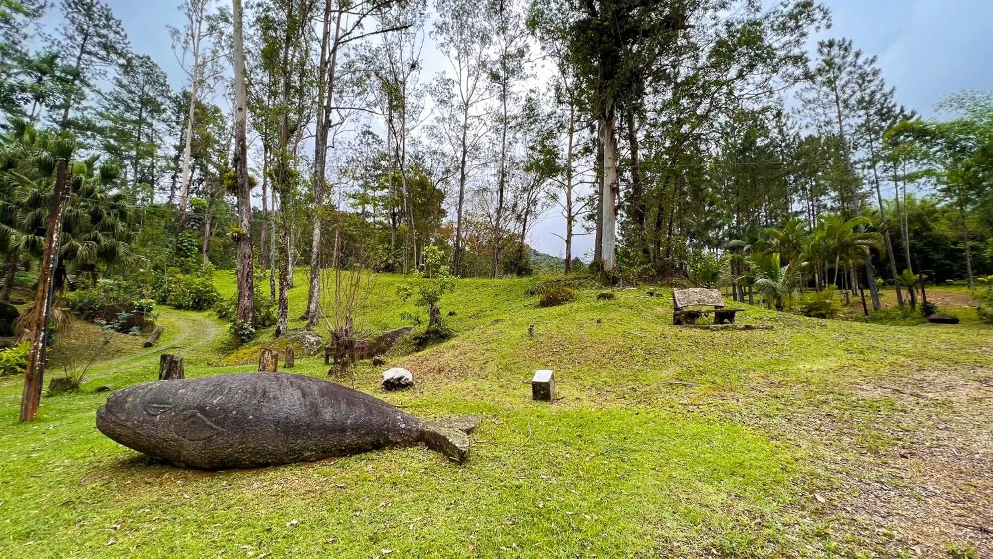 Natural landscape in Pousada Ananda Parivara