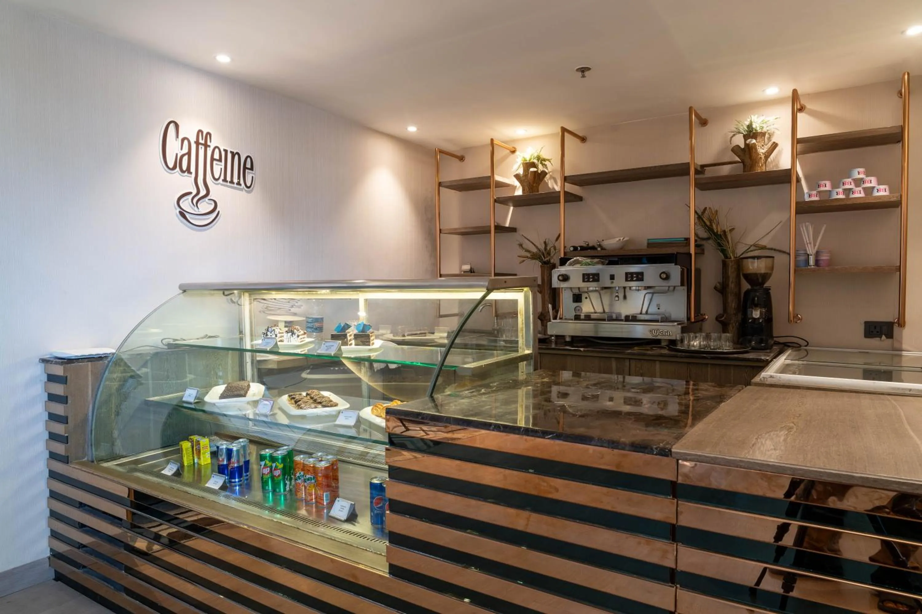 Coffee/tea facilities in Regenta Place Amritsar by Royal Orchid Hotels Limited