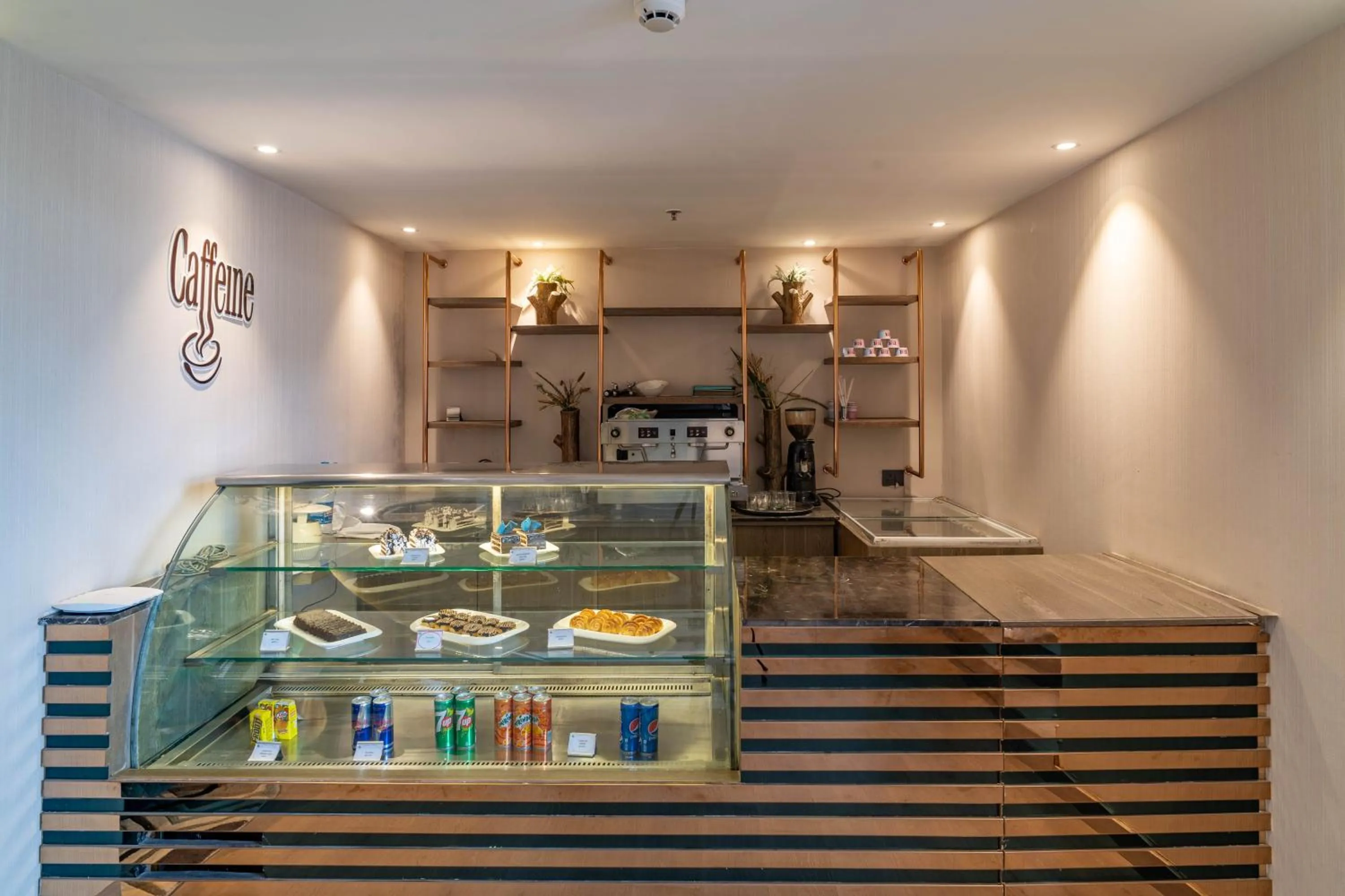 Coffee/tea facilities in Regenta Place Amritsar by Royal Orchid Hotels Limited