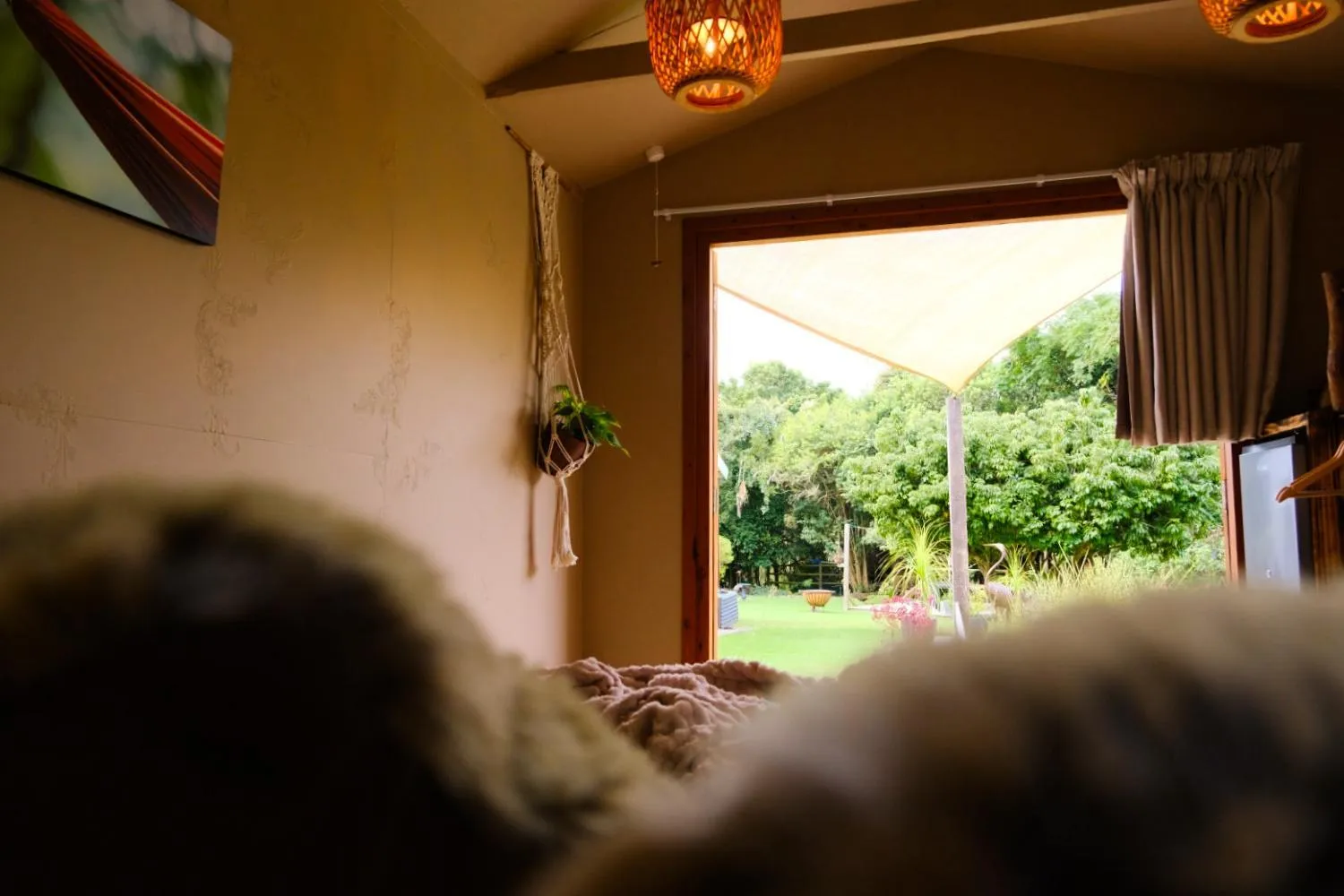 BWHALE guest house B&B