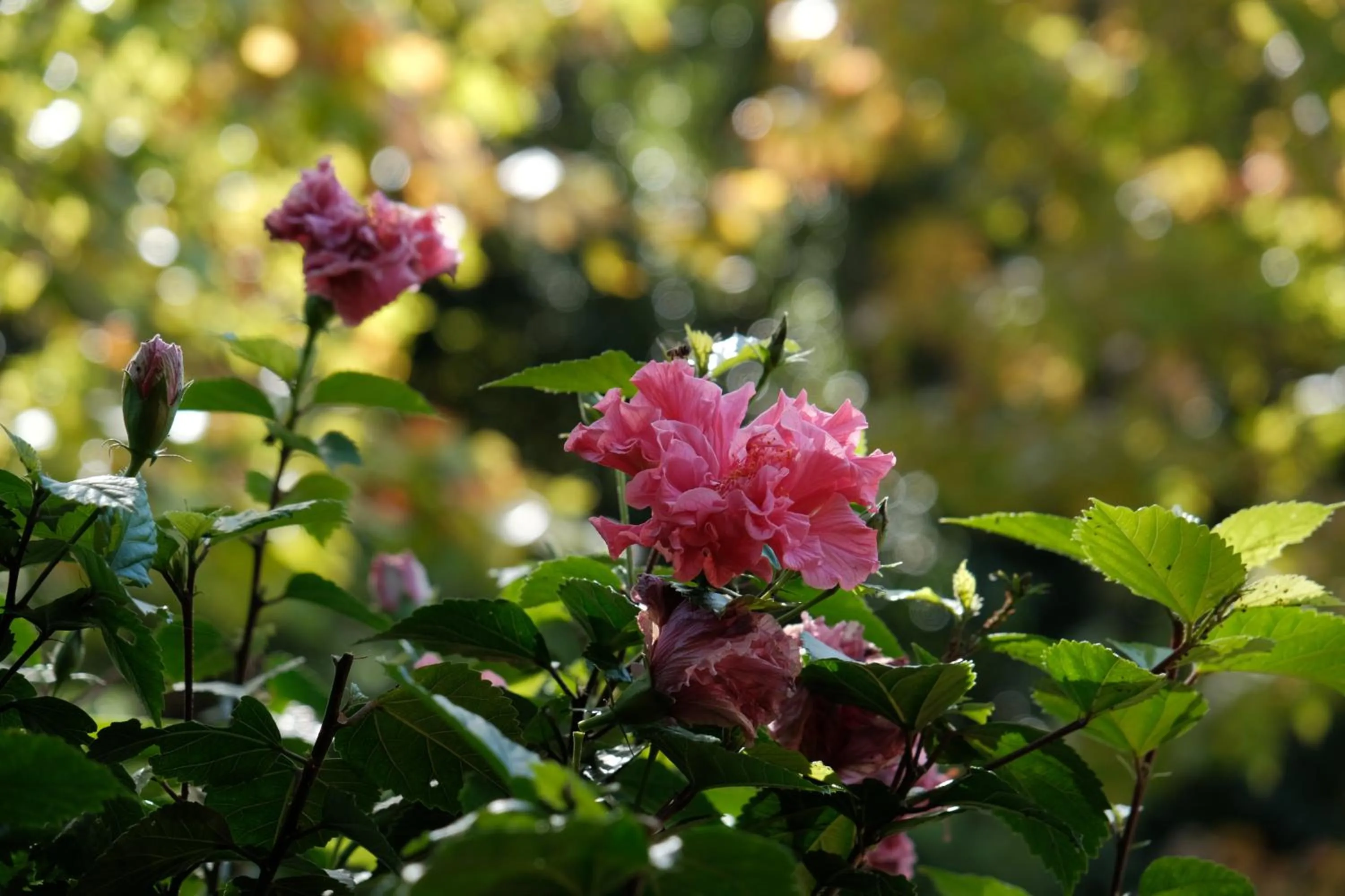 Natural landscape in BWHALE guest house B&B
