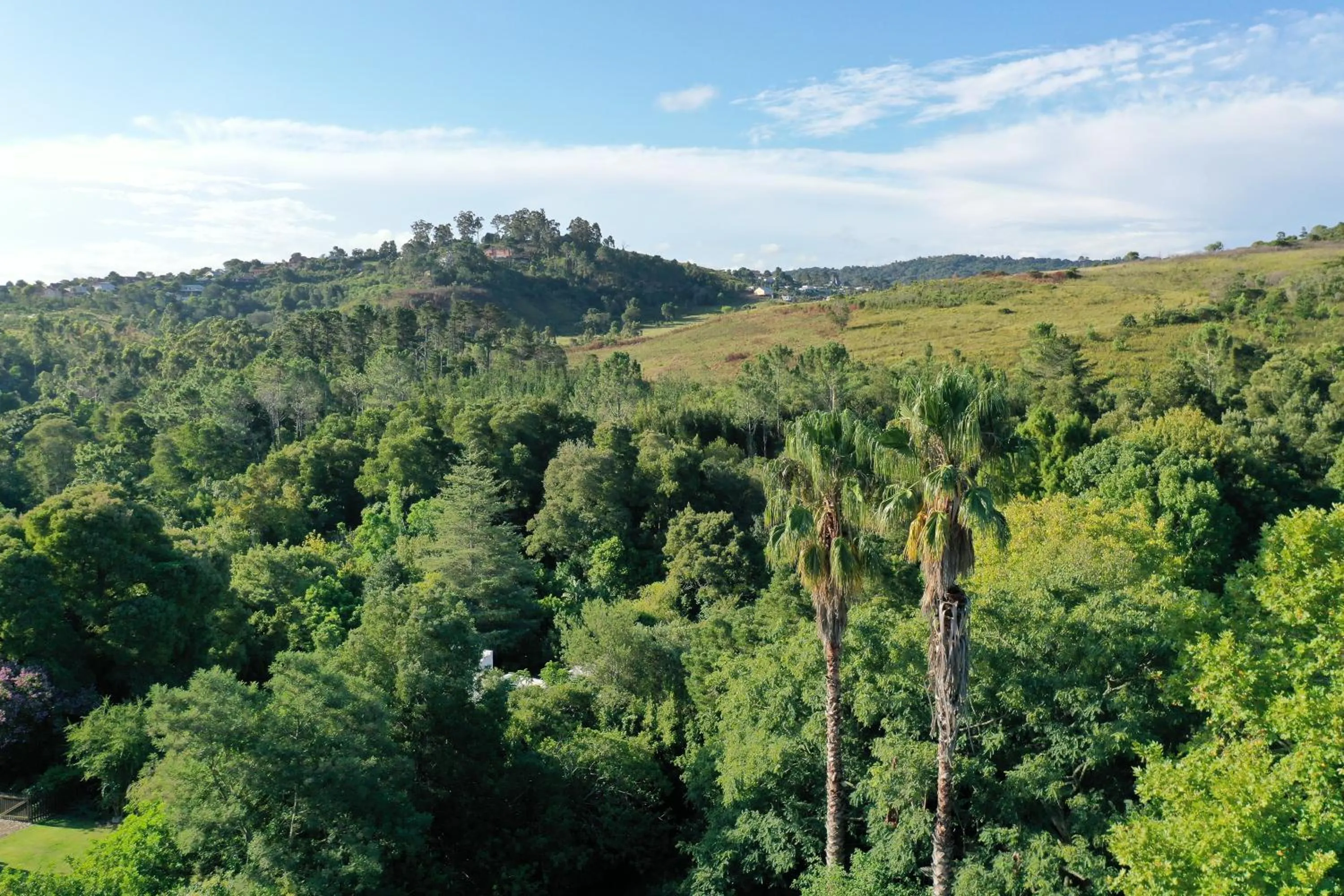 BWHALE guest house B&B