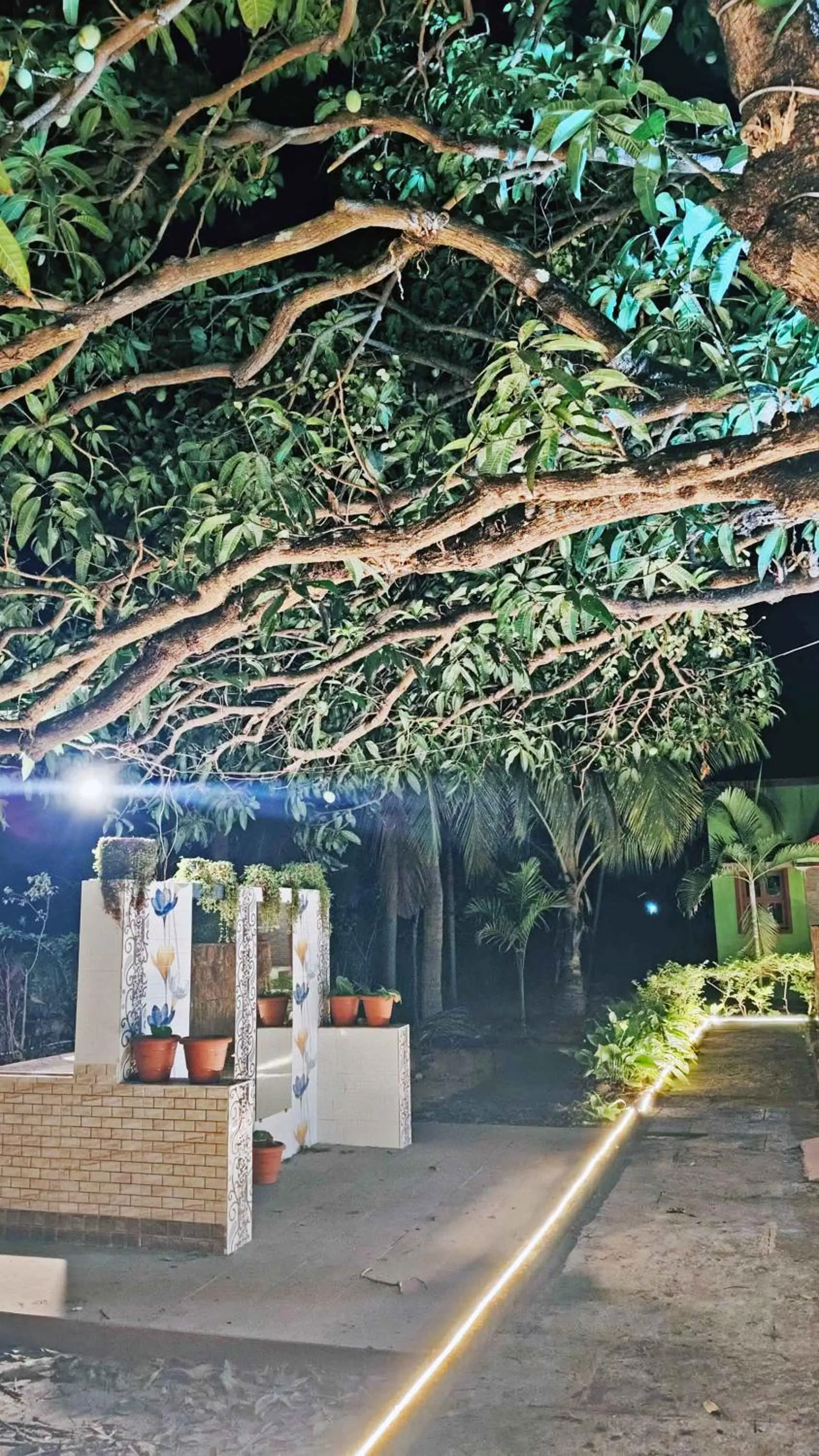 Sunny's Serenity Resort