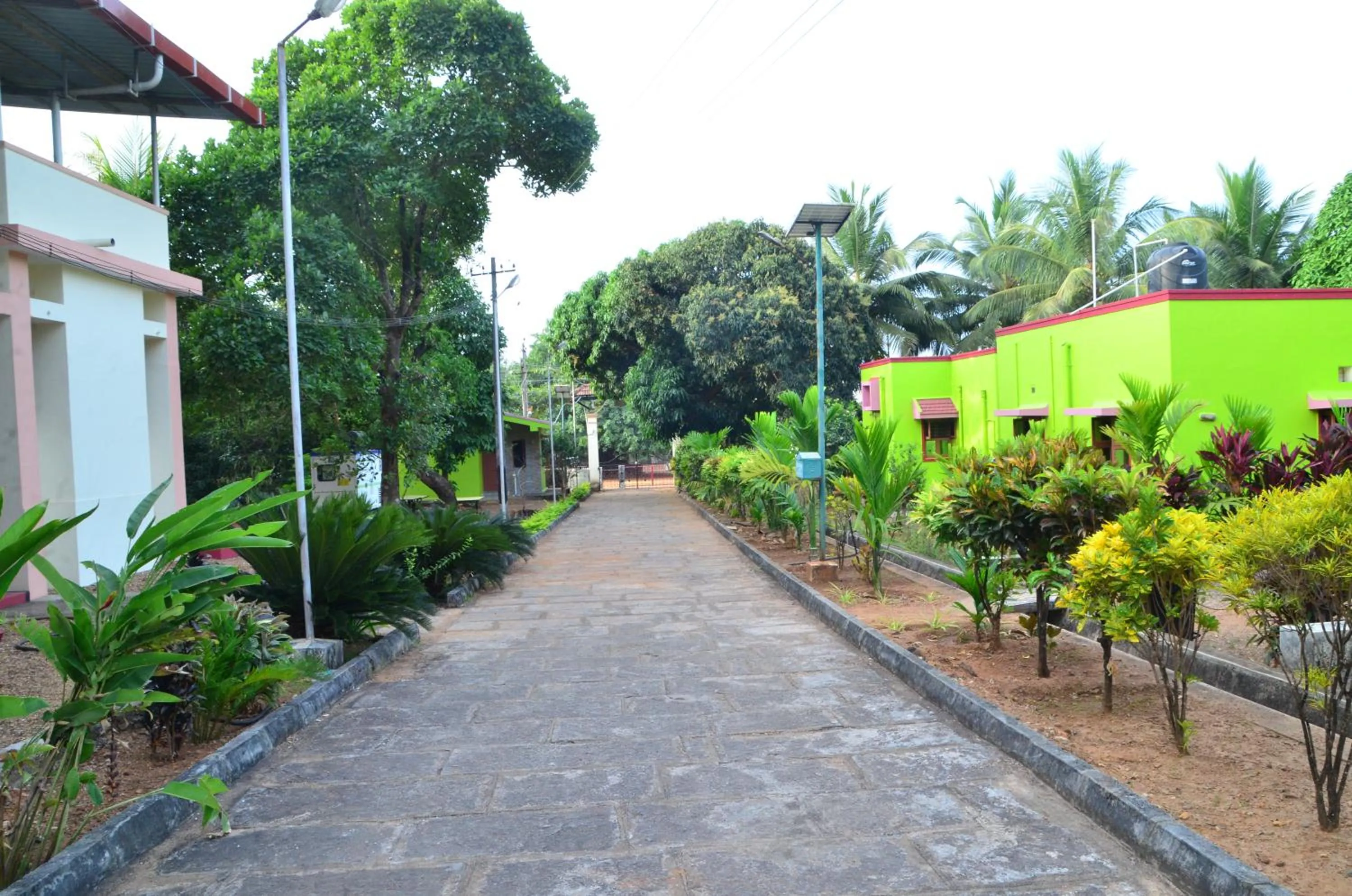 Property building in Sunny's Serenity Resort