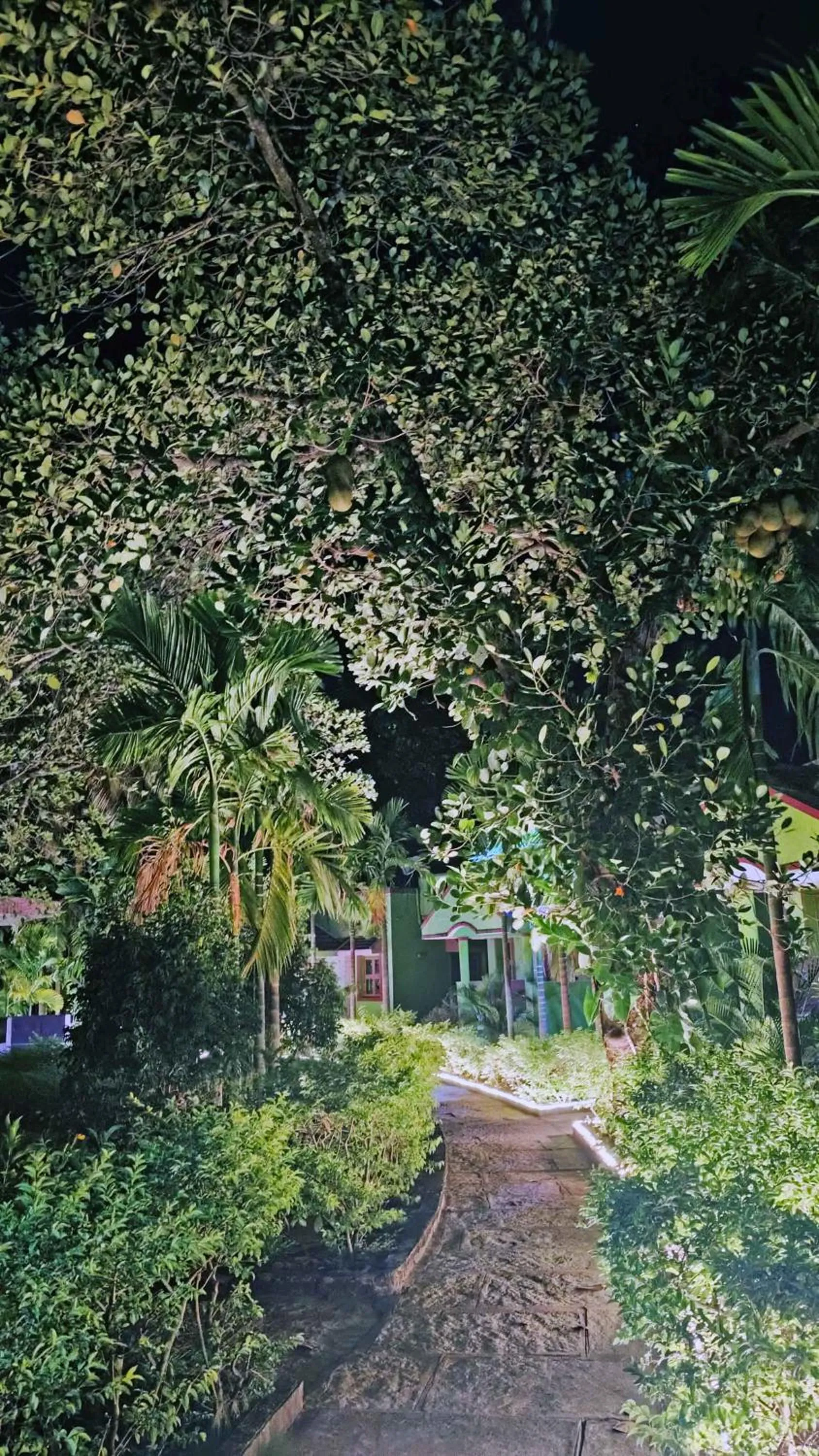 Sunny's Serenity Resort