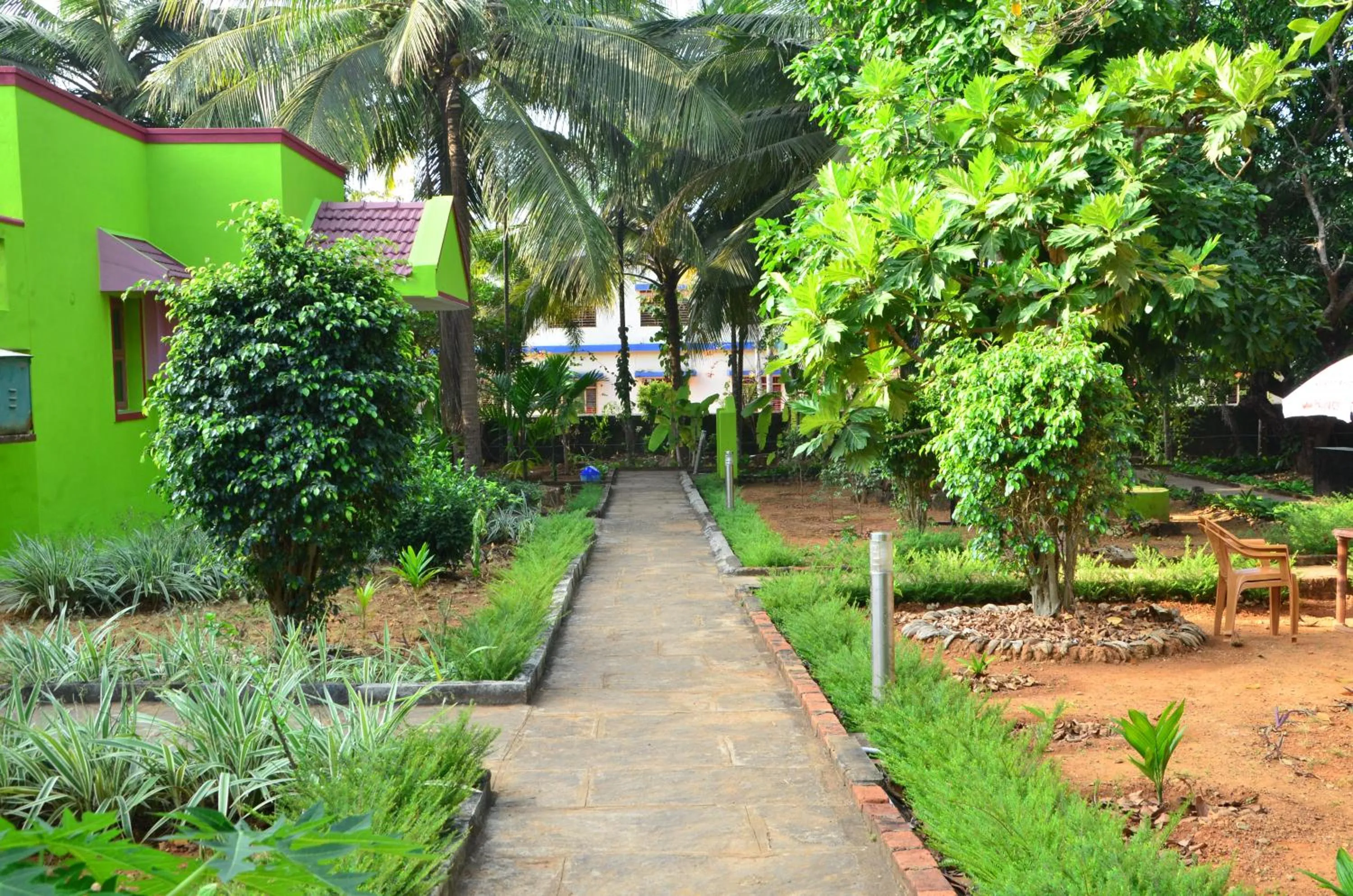 Property building in Sunny's Serenity Resort