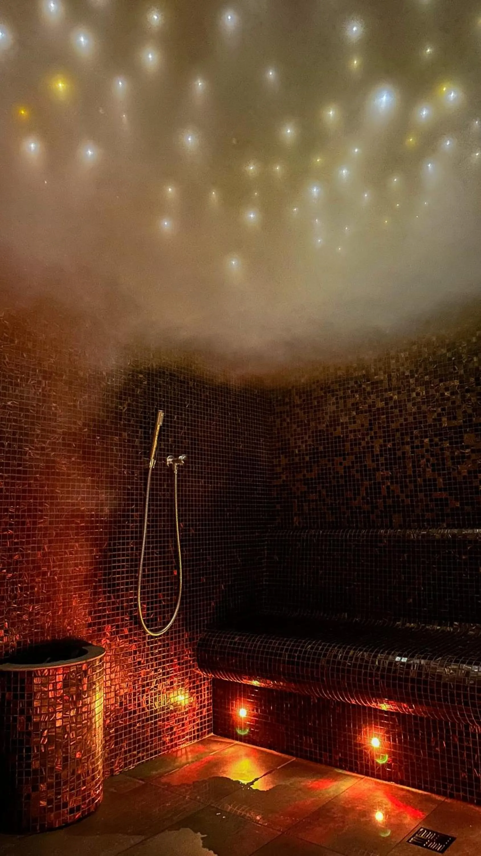 Sauna in LH Parkhotel Hluboka Nad Vltavou Congress & Wellness