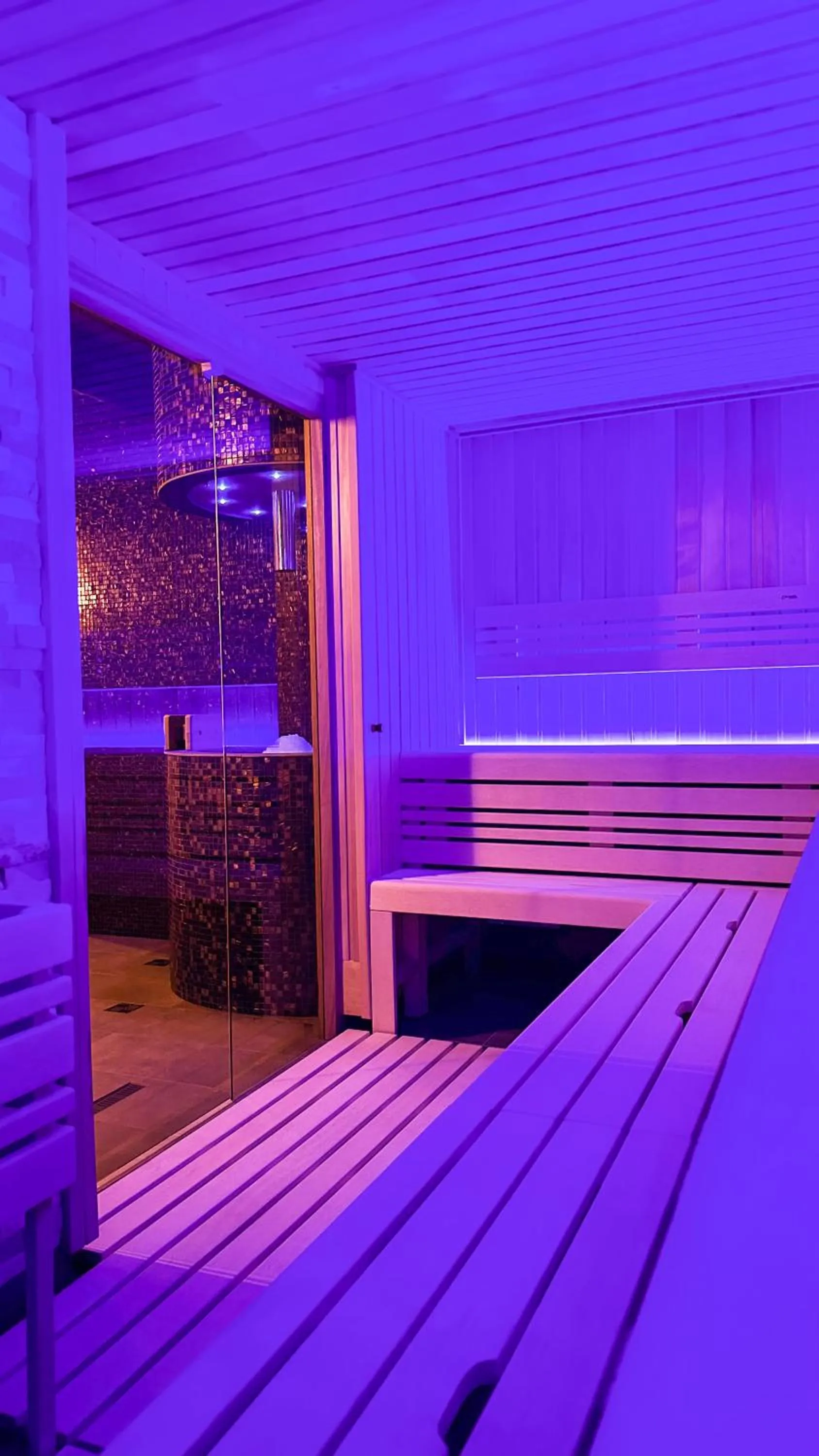Sauna in LH Parkhotel Hluboka Nad Vltavou Congress & Wellness
