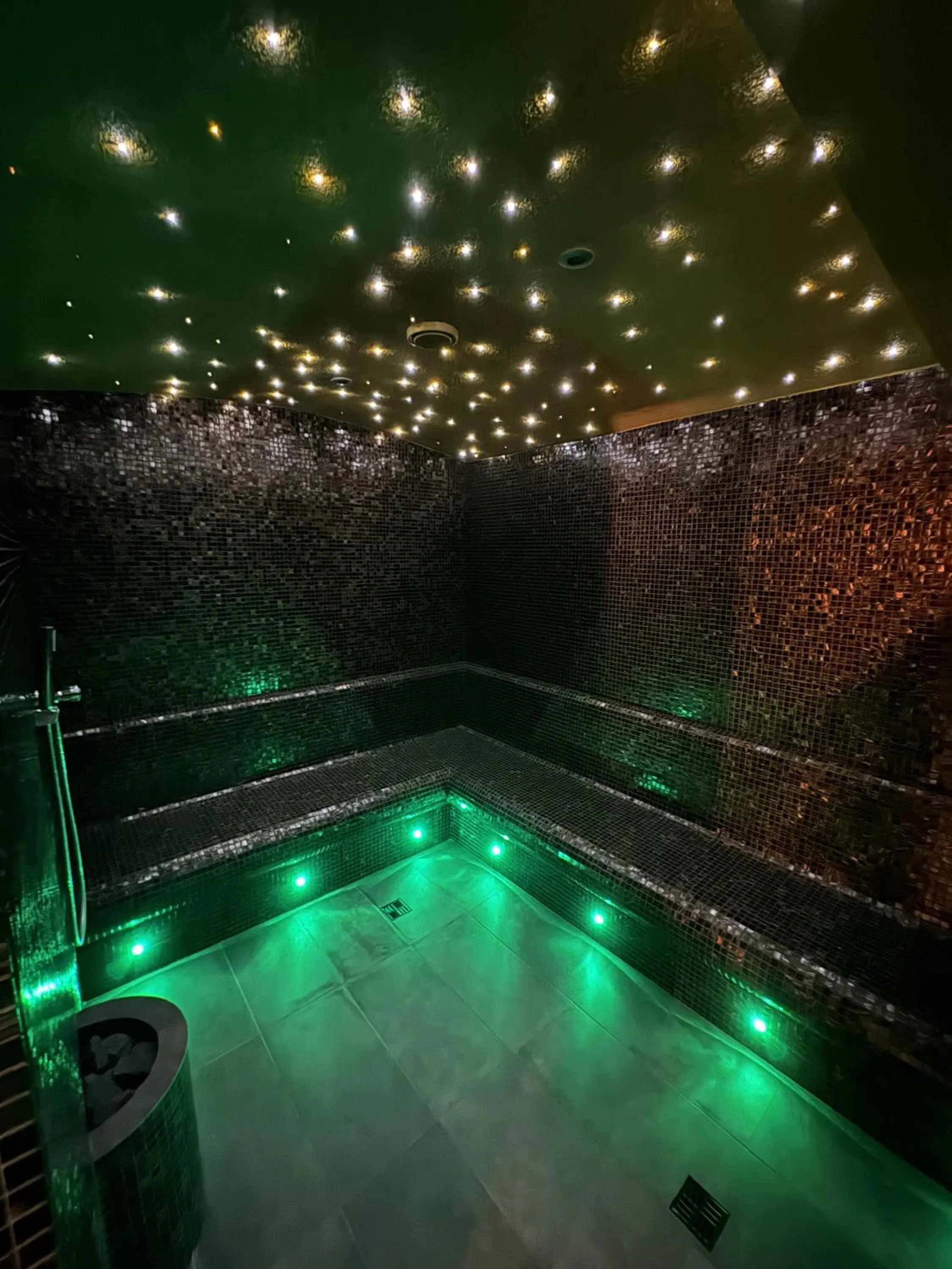 Steam room in LH Parkhotel Hluboka Nad Vltavou Congress & Wellness