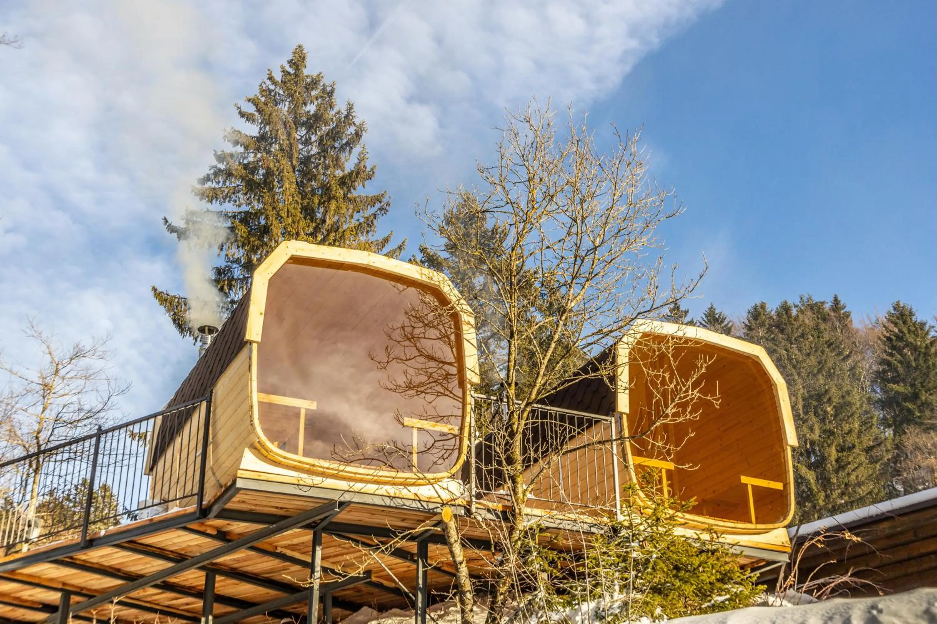 Sauna in Garden Wellness Hotel S