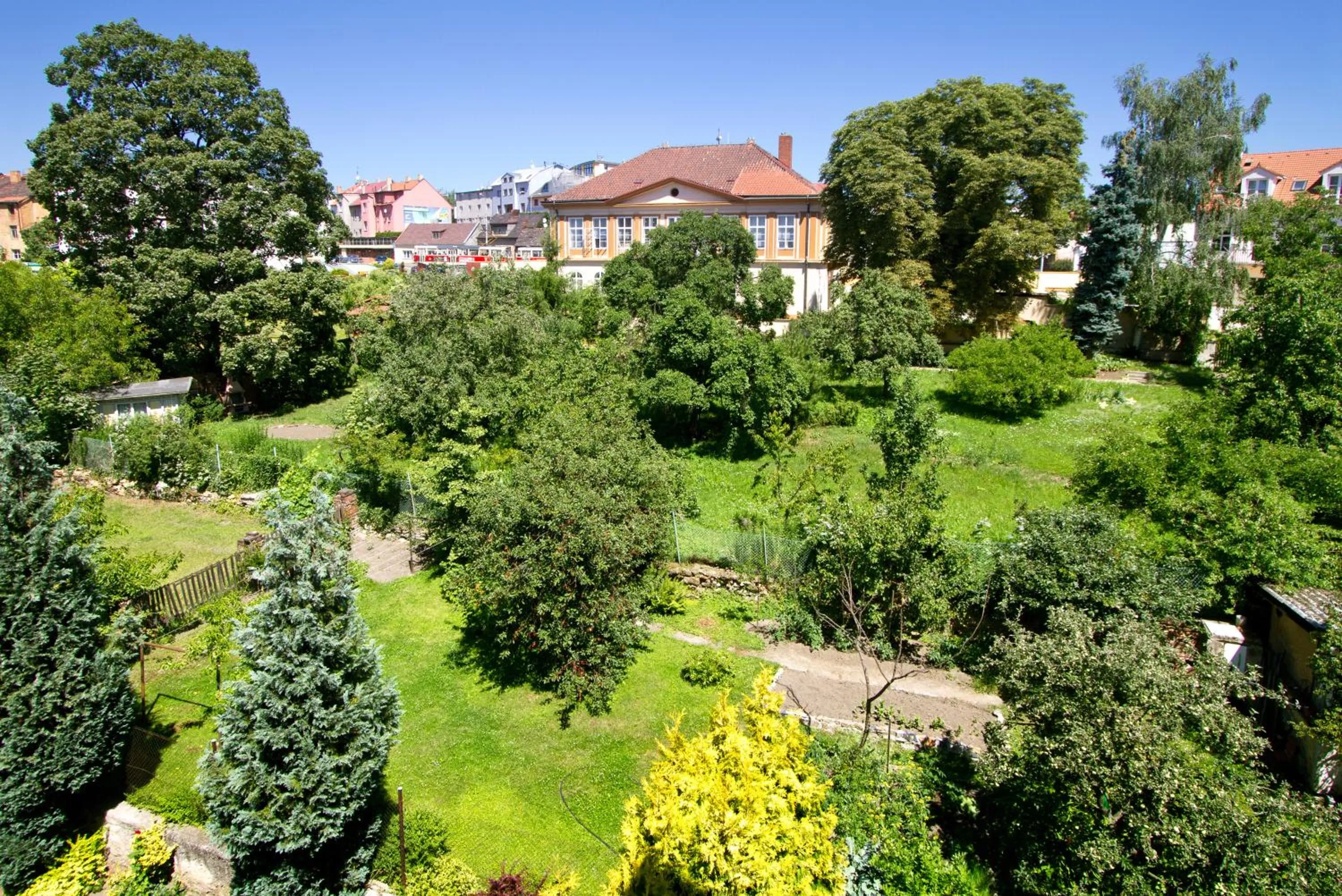 Garden in Hotel Aida