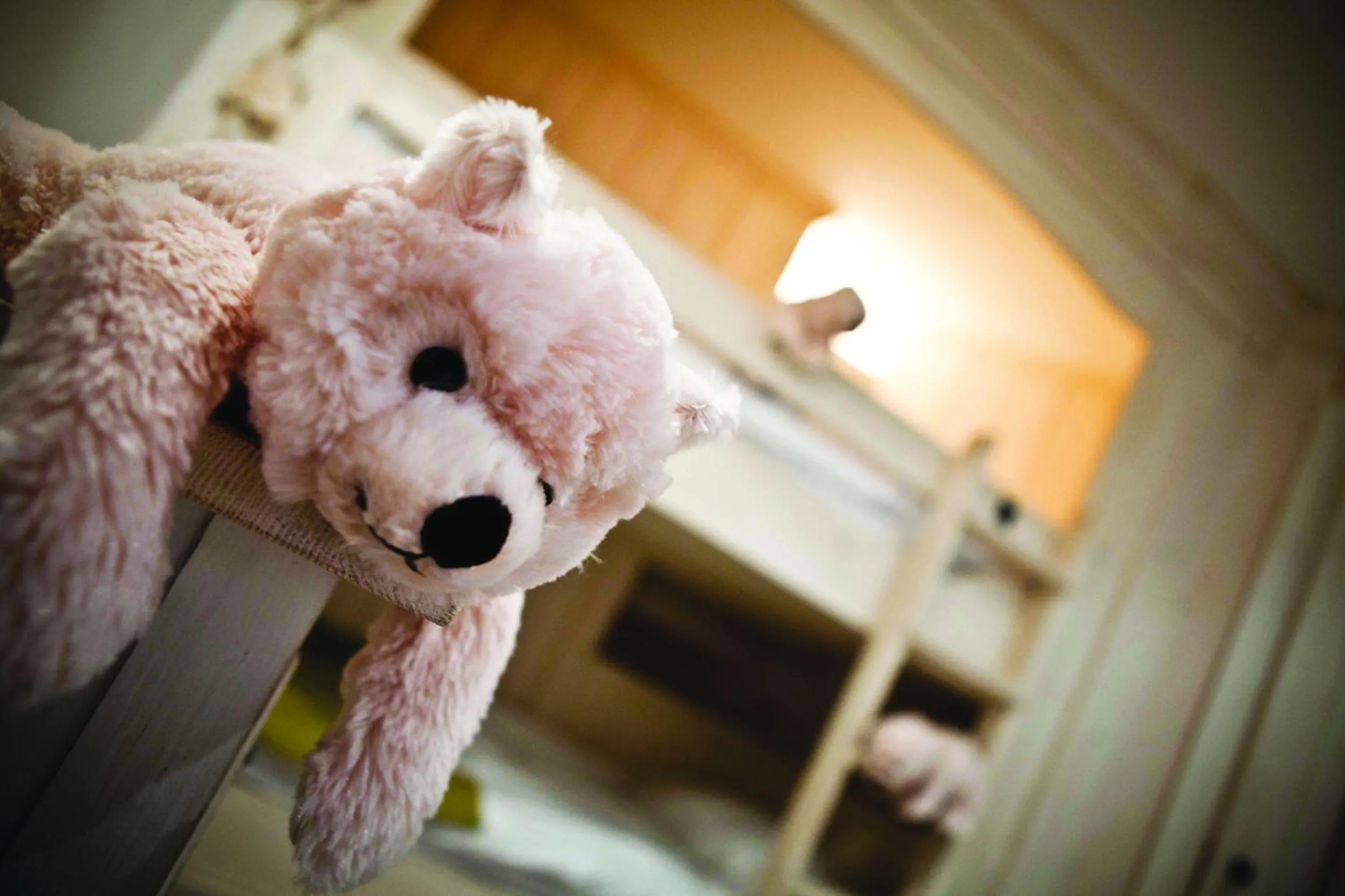 Decorative detail, Bed in Hôtel Les Barmes De l'Ours