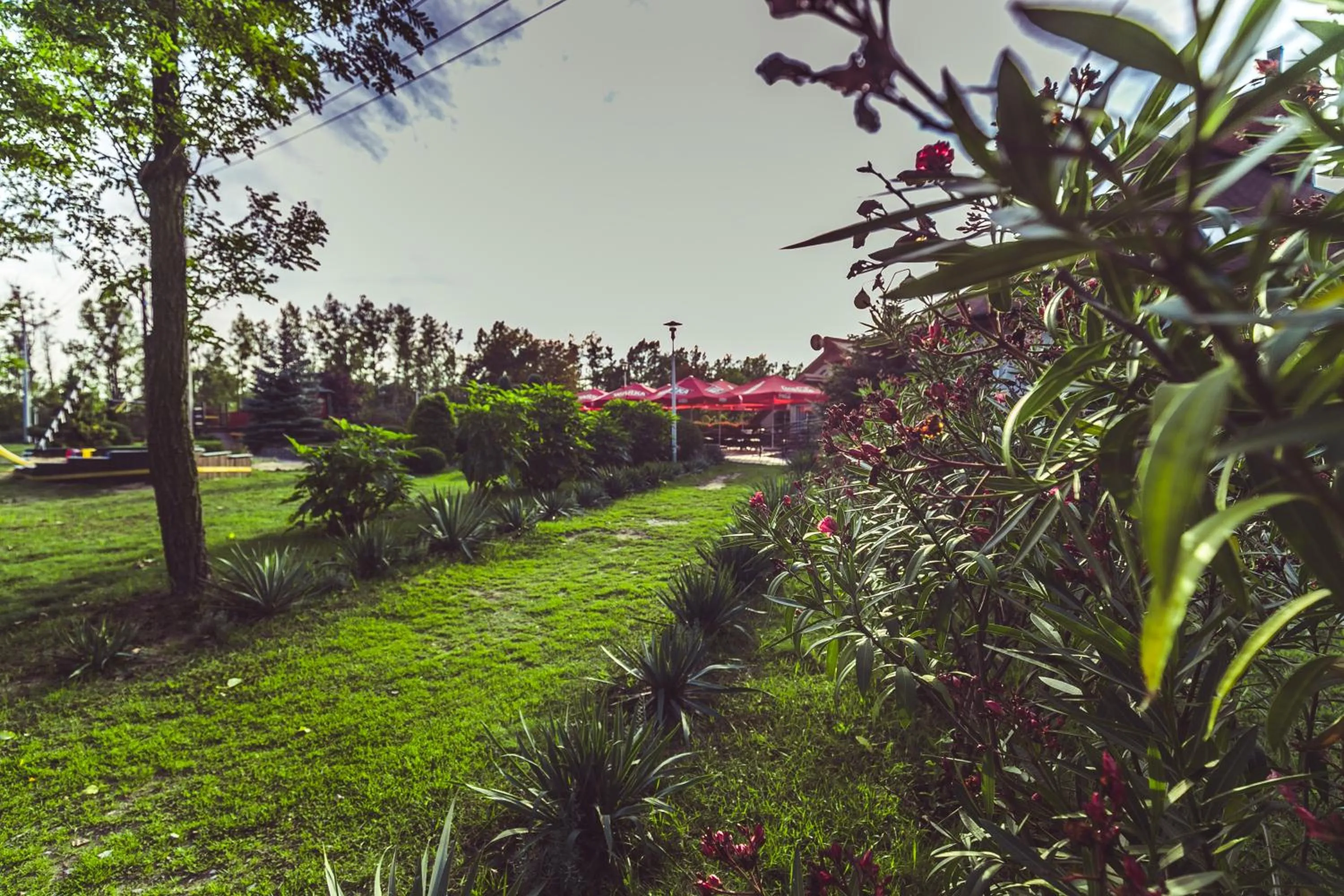 Garden in Gościniec pod Żaglami