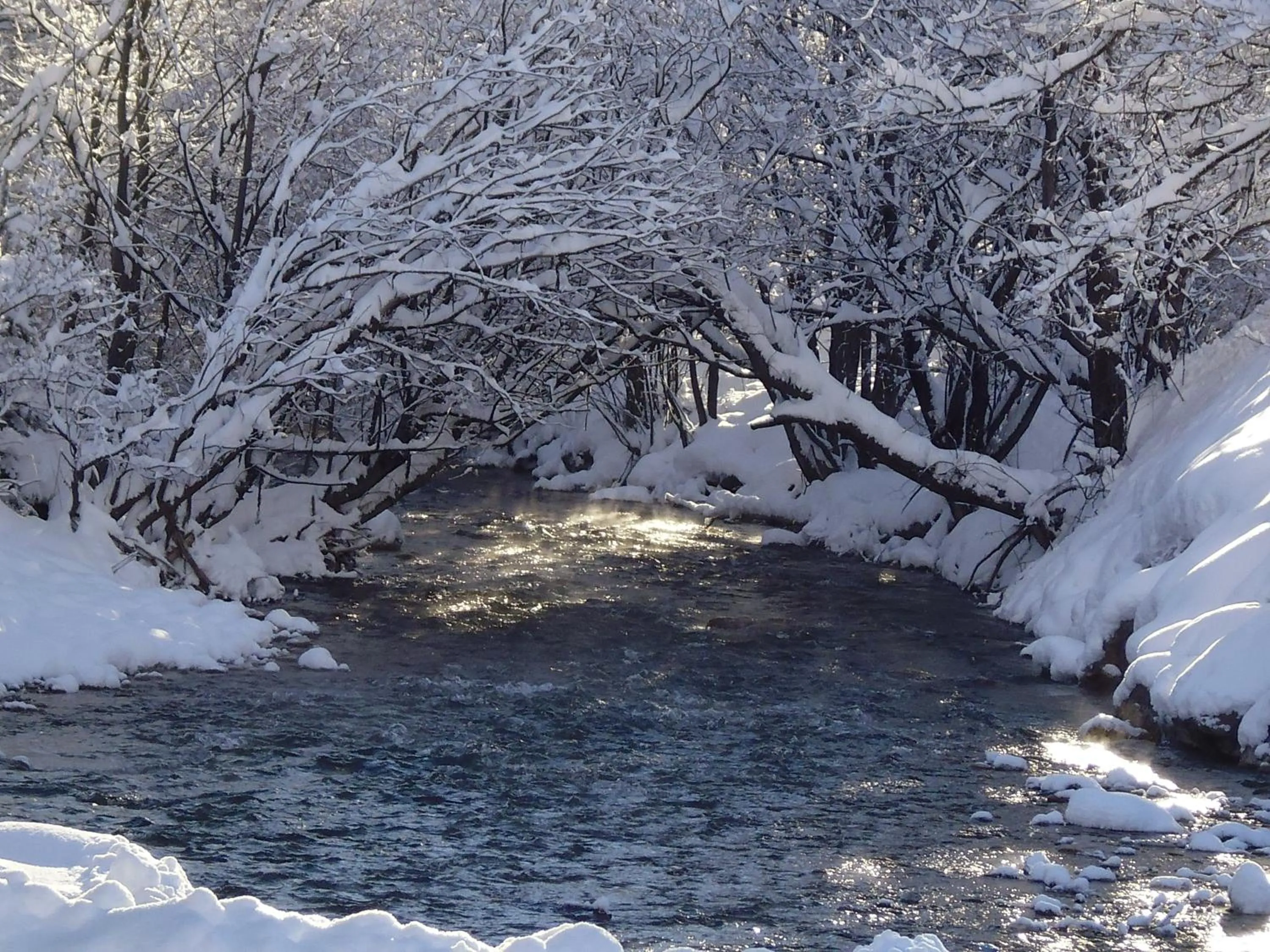 Natural landscape in Rock Noir & Spa