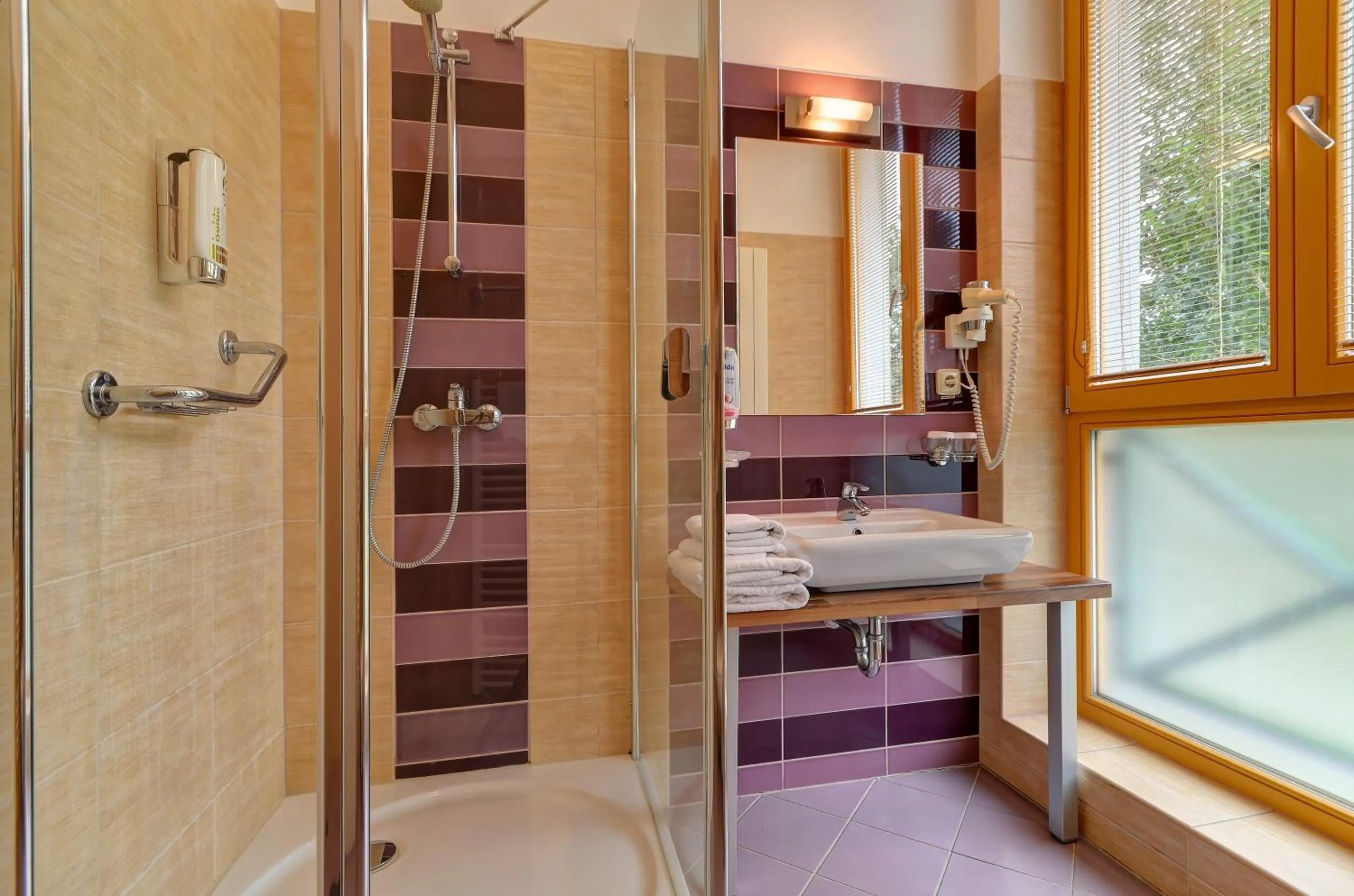 Bathroom in Hotel U Pramenu