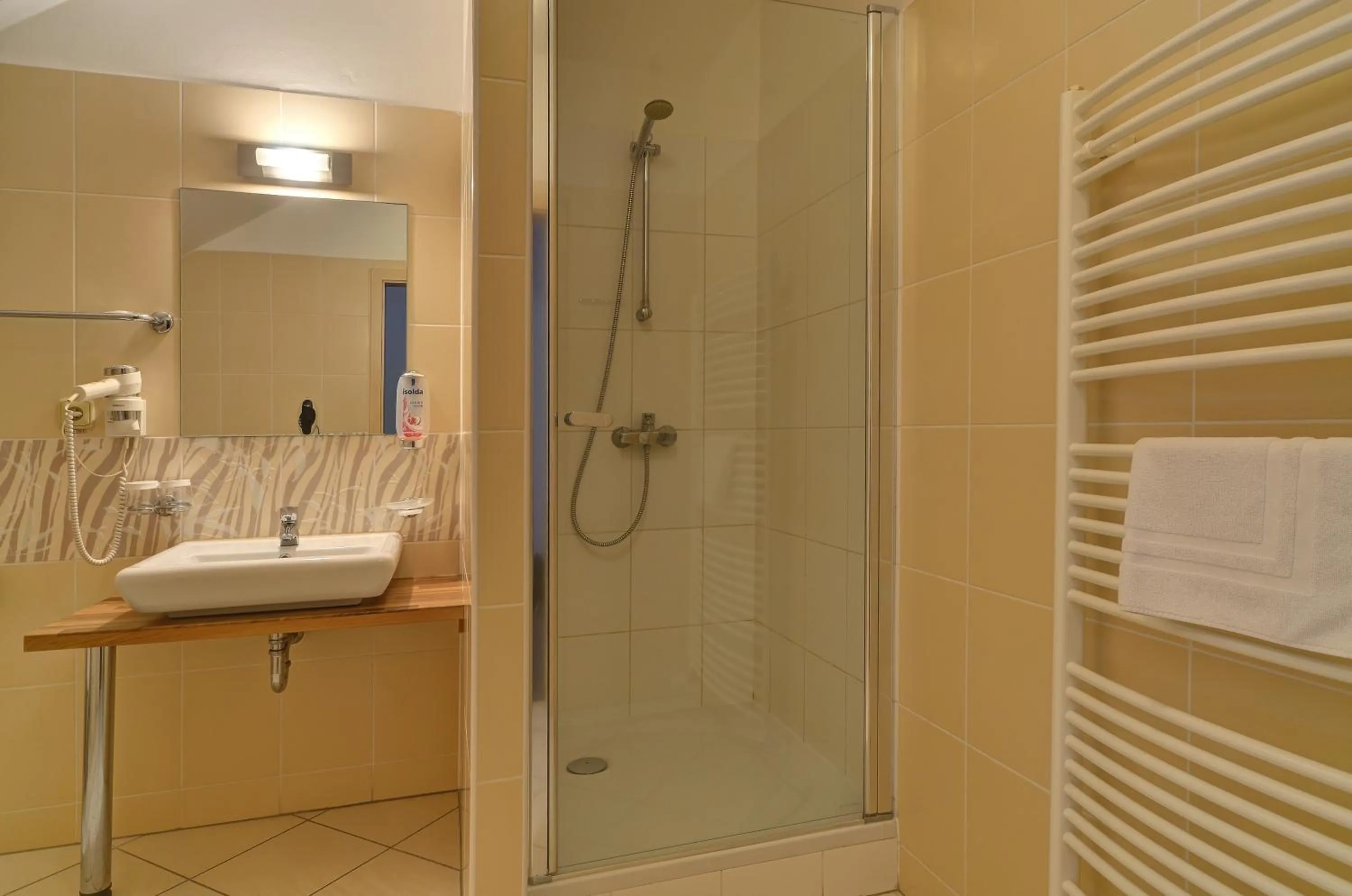 Shower in Hotel U Pramenu