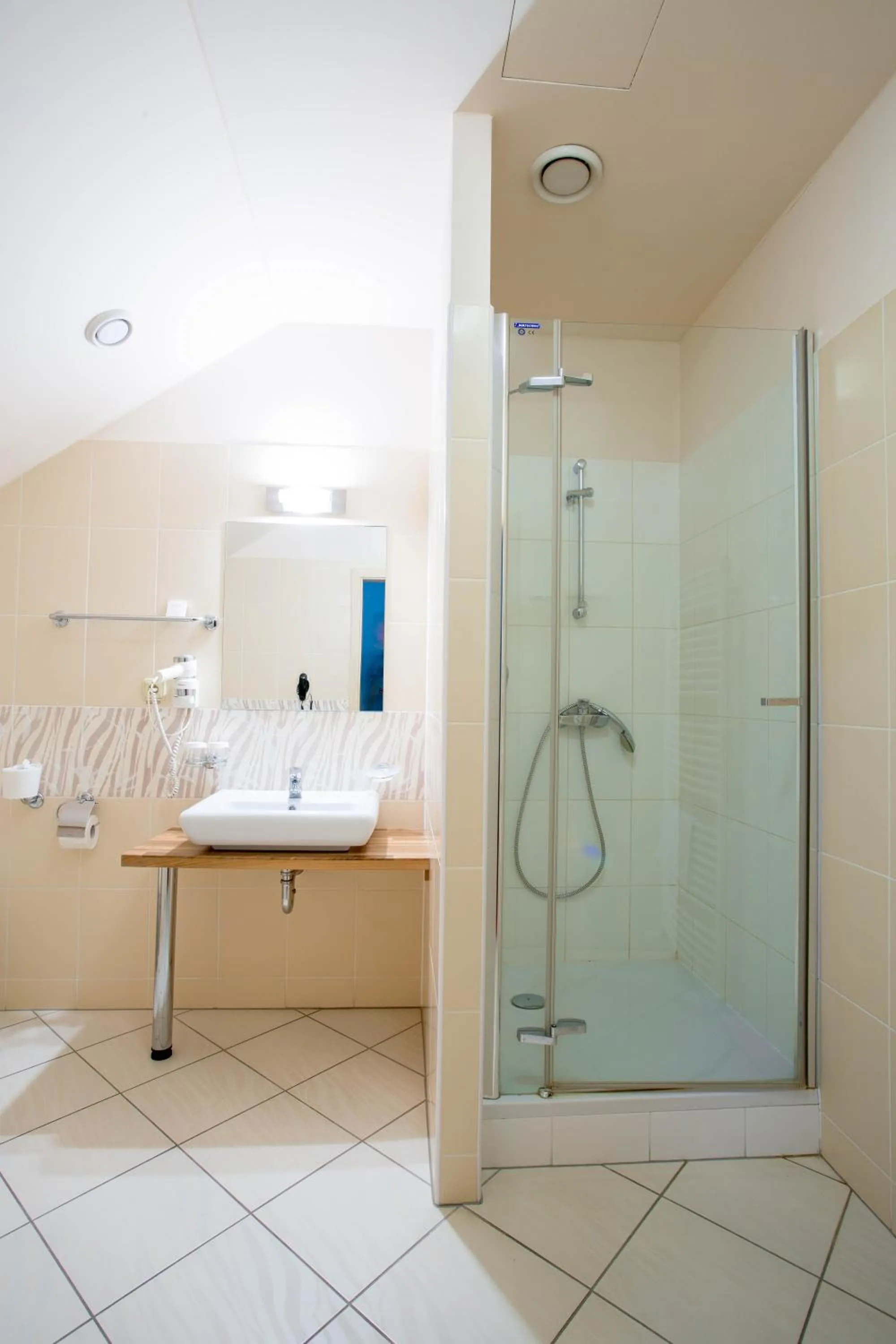 Shower in Hotel U Pramenu