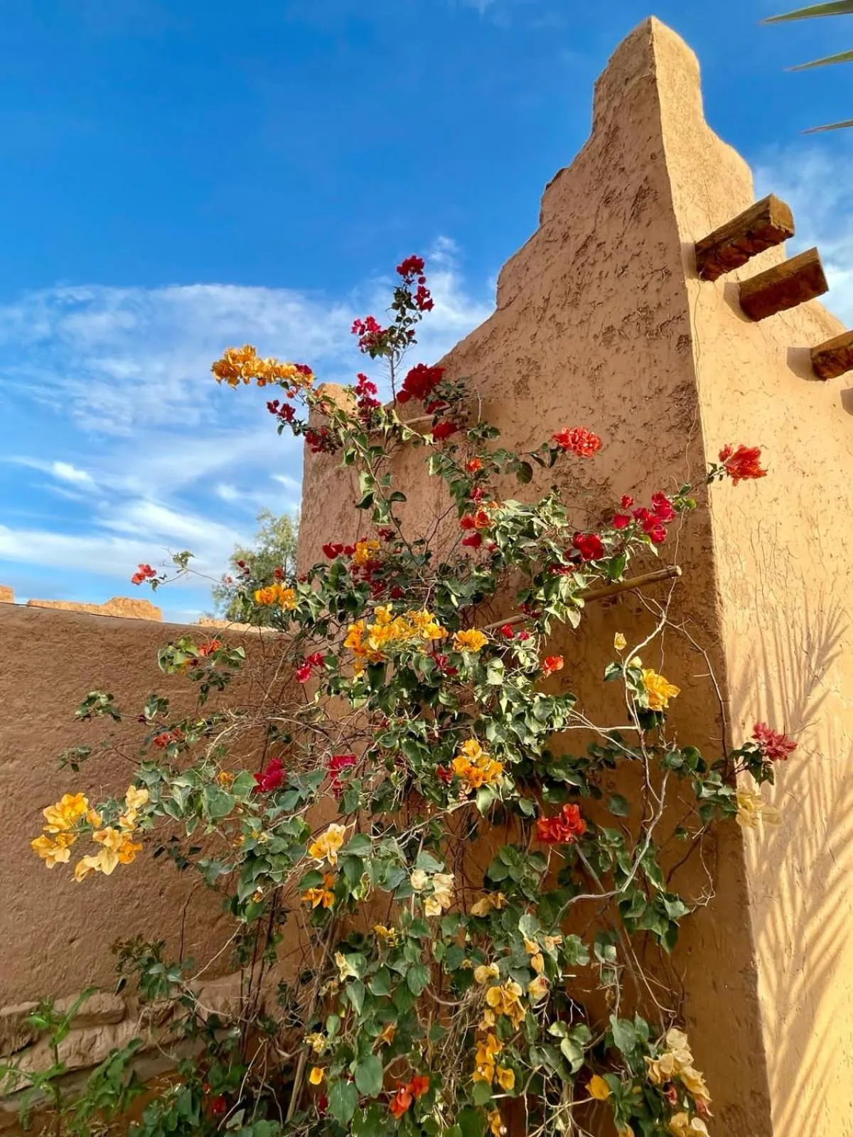 Auberge Kasbah Dar Sahara Tours