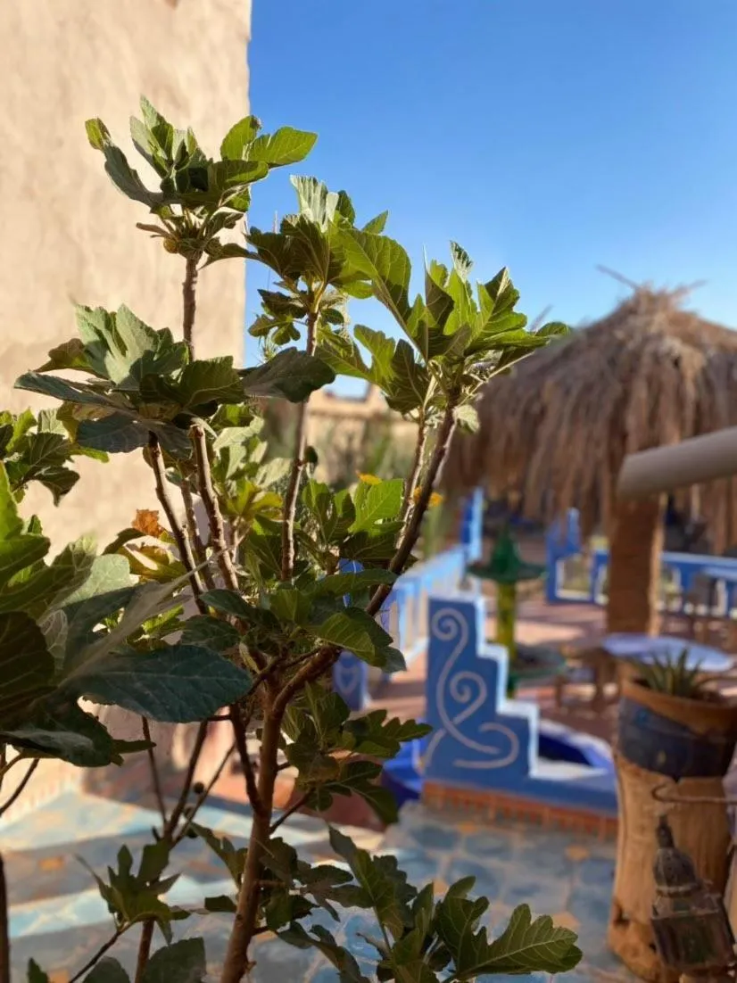 Auberge Kasbah Dar Sahara Tours