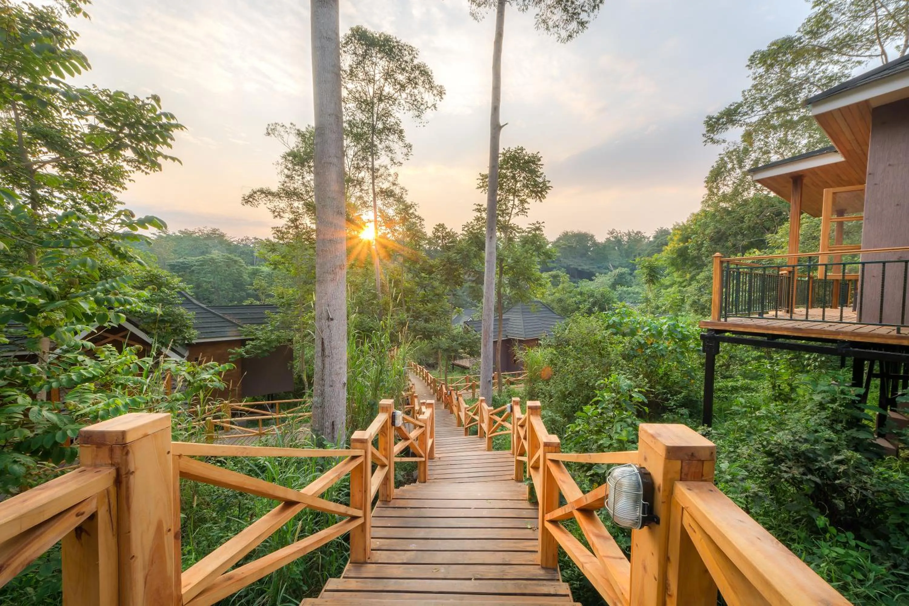 View (from property/room) in Chimpundu Lodge