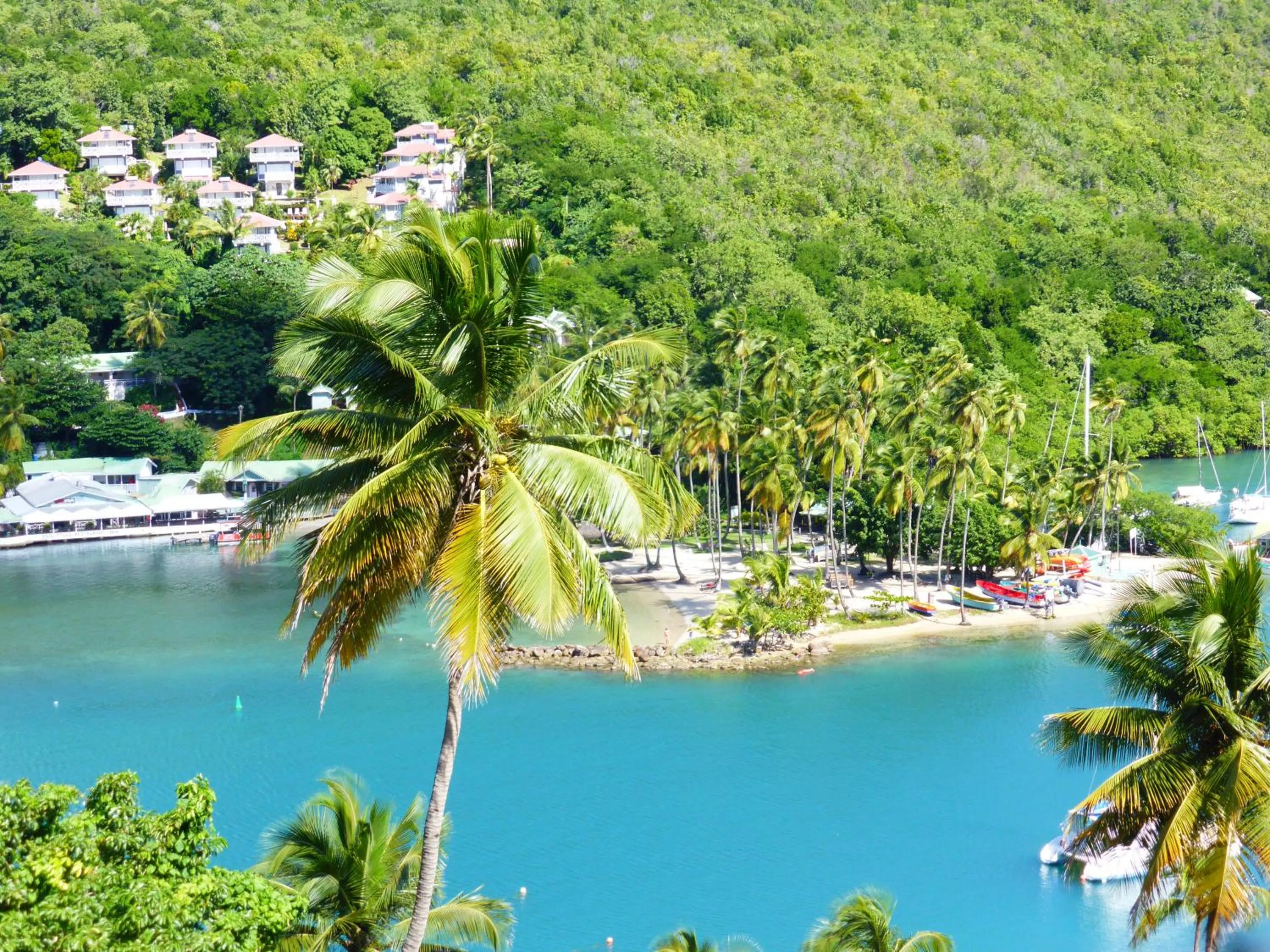 Neighbourhood in Marigot Palms Luxury Caribbean Apartment Suites