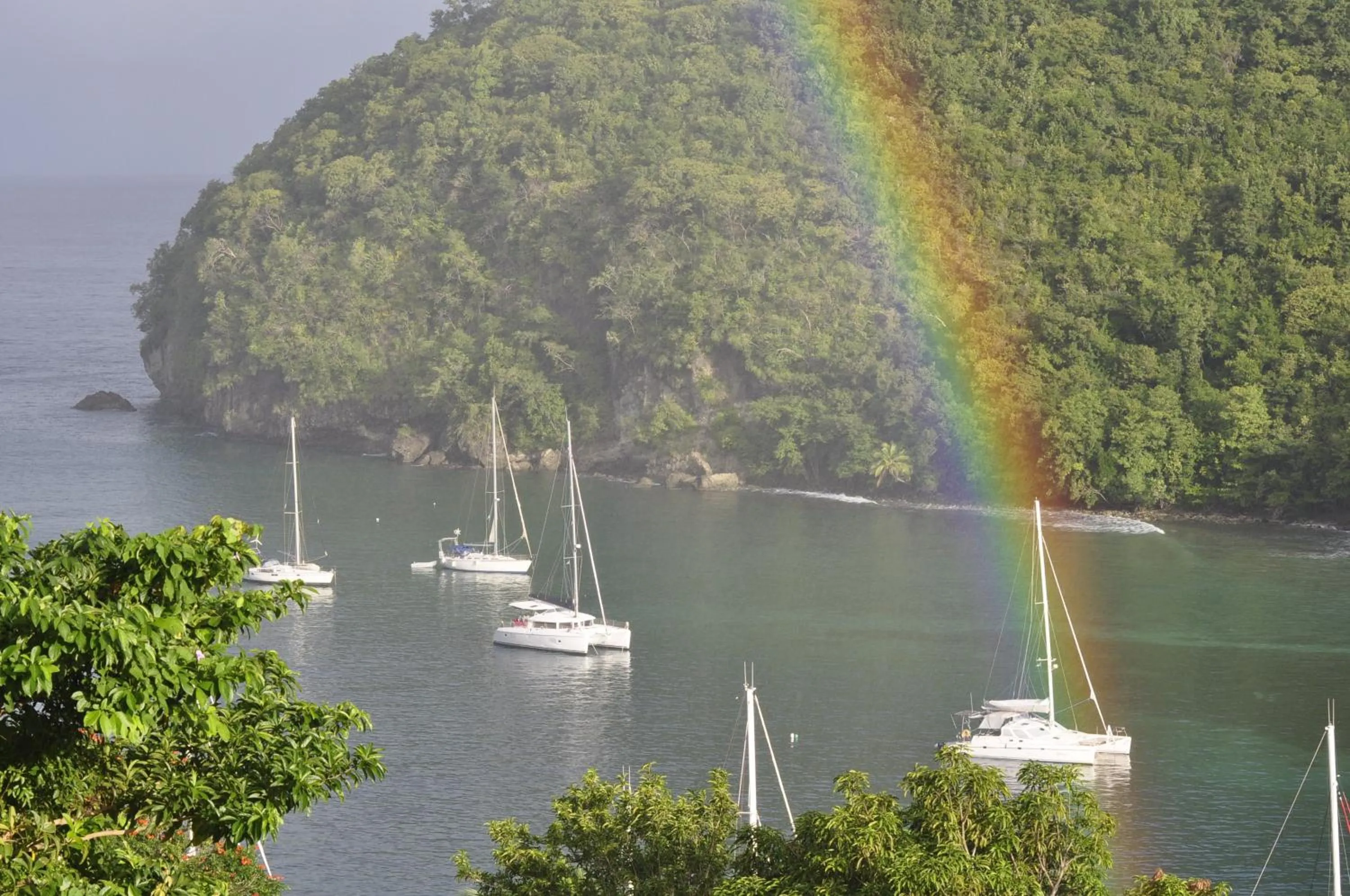 Natural landscape in Marigot Palms Luxury Caribbean Apartment Suites